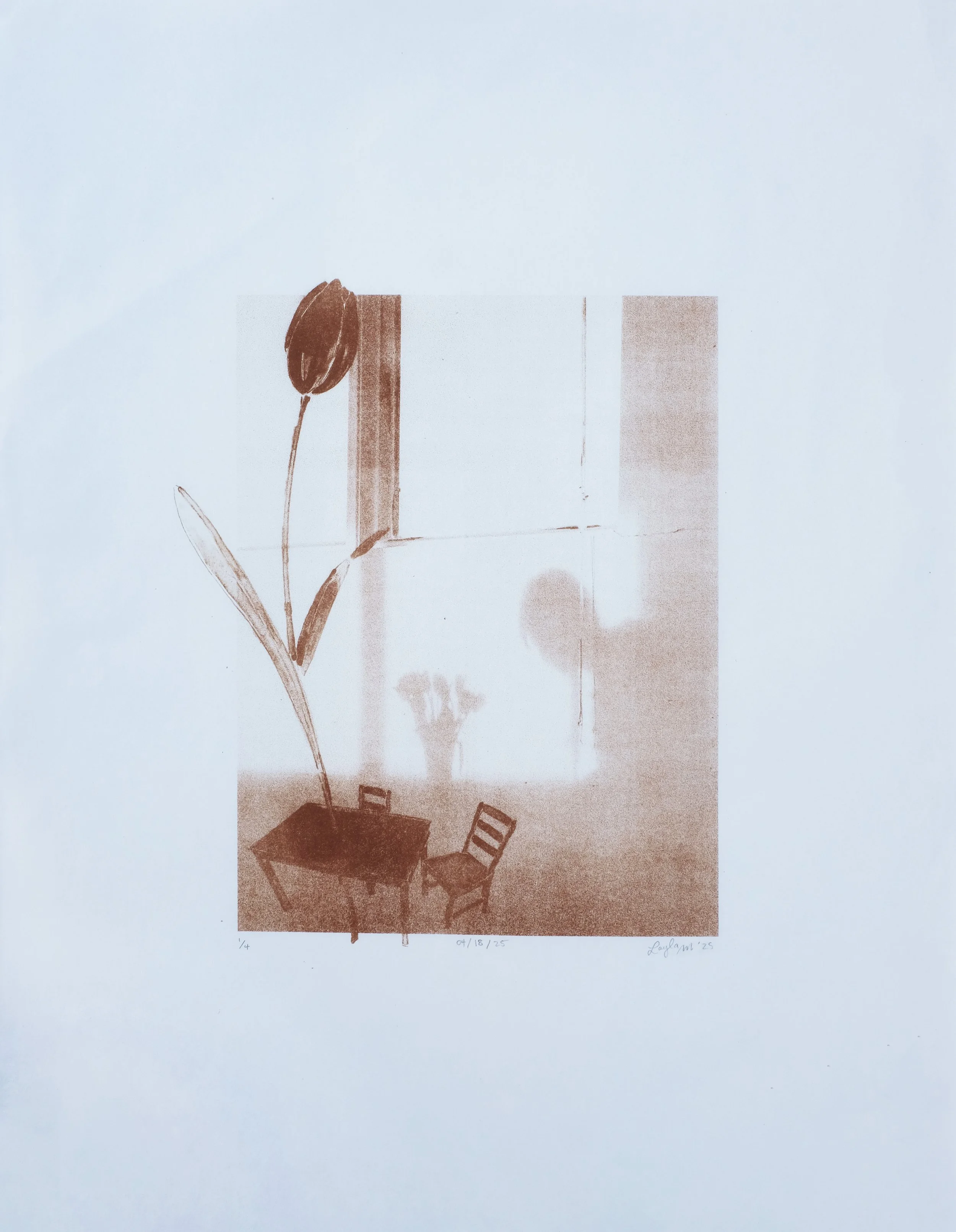 04-18-25 (2025) / photo (plate) lithography / 18" x 22"