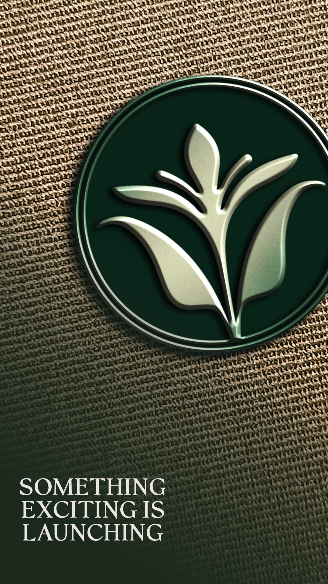 The Preserve on Winn - Launch Graphics B.png