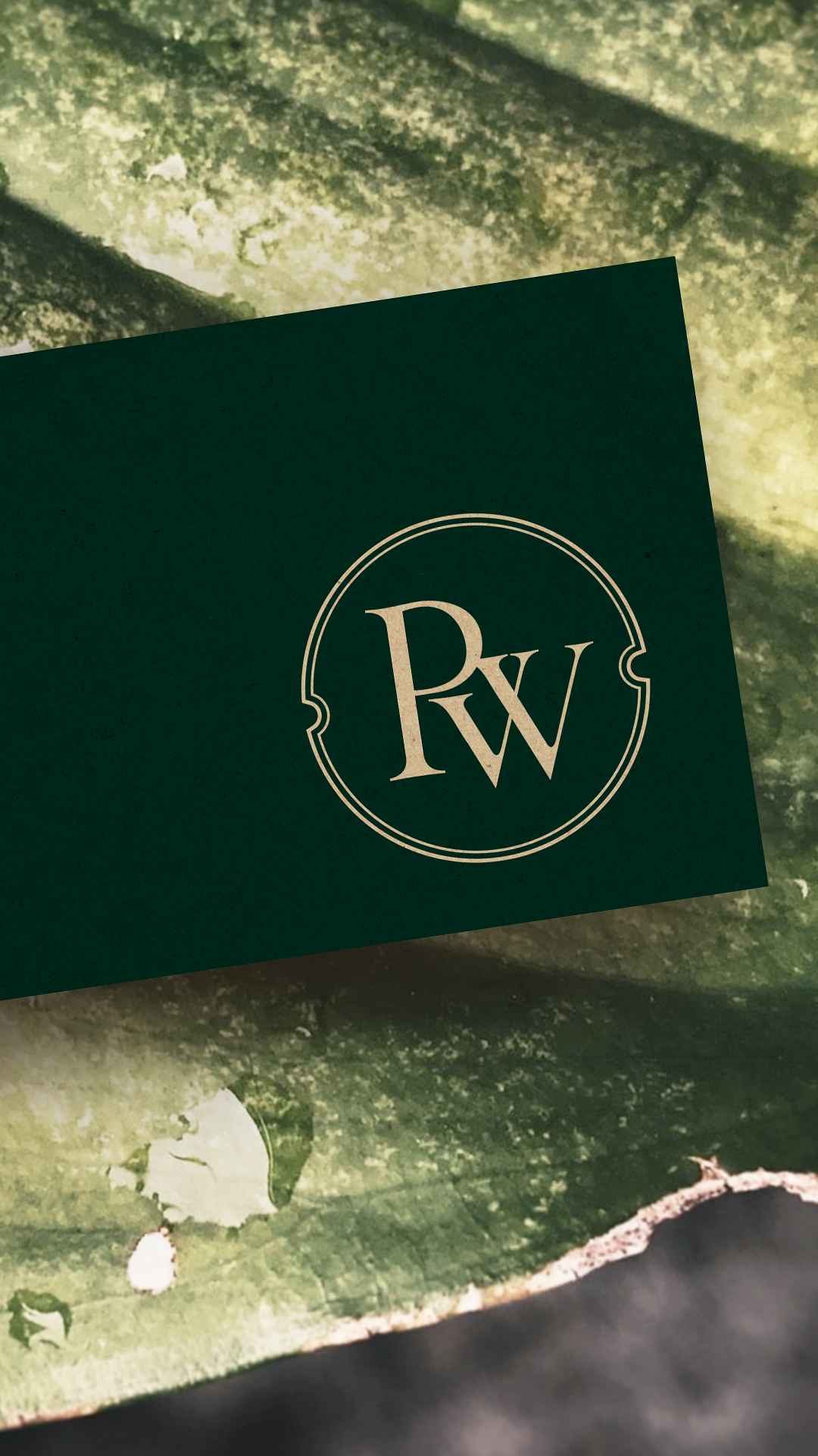 The Preserve on Winn - Launch Graphics O.png