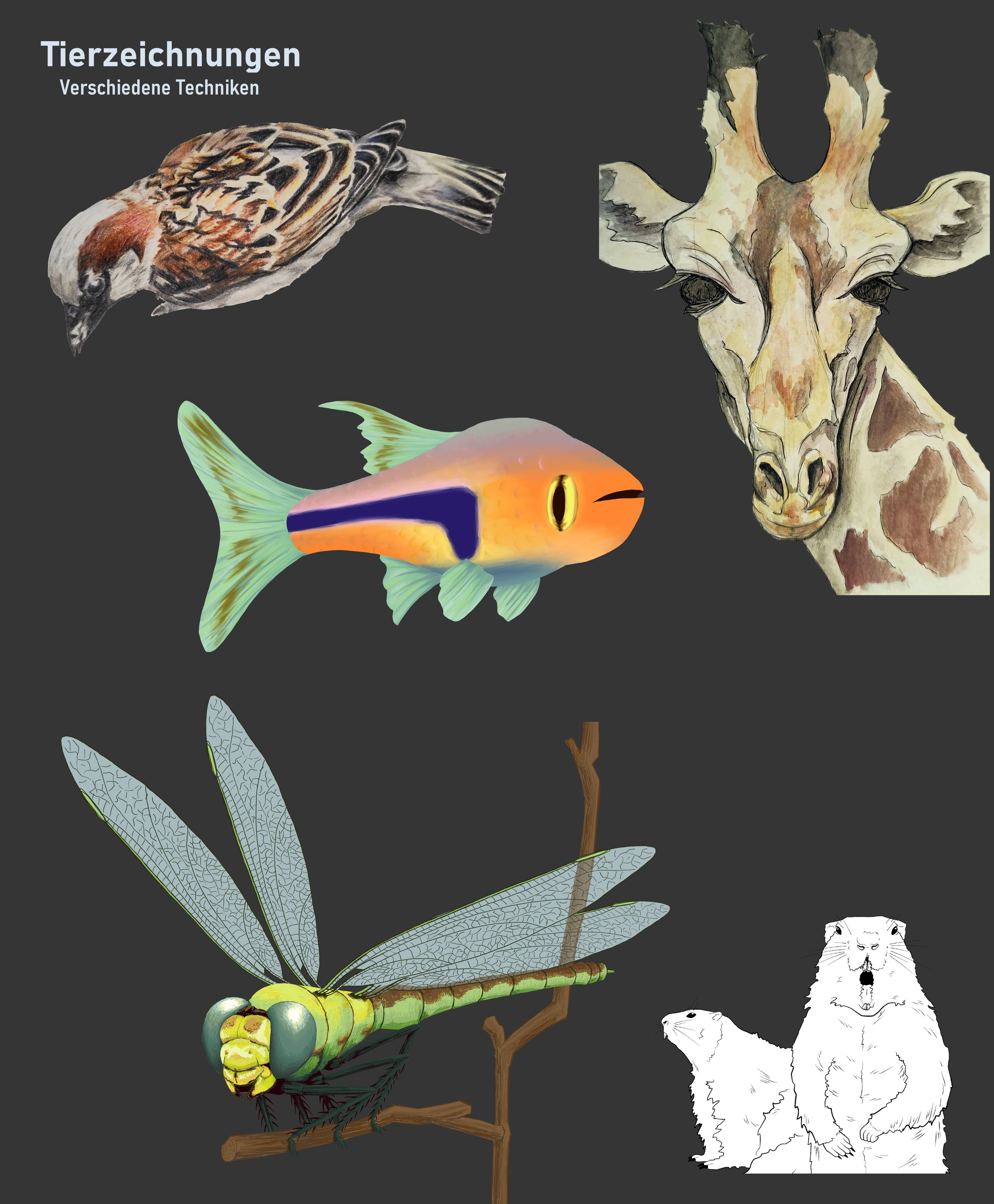 Portfolio Seite_007.jpg