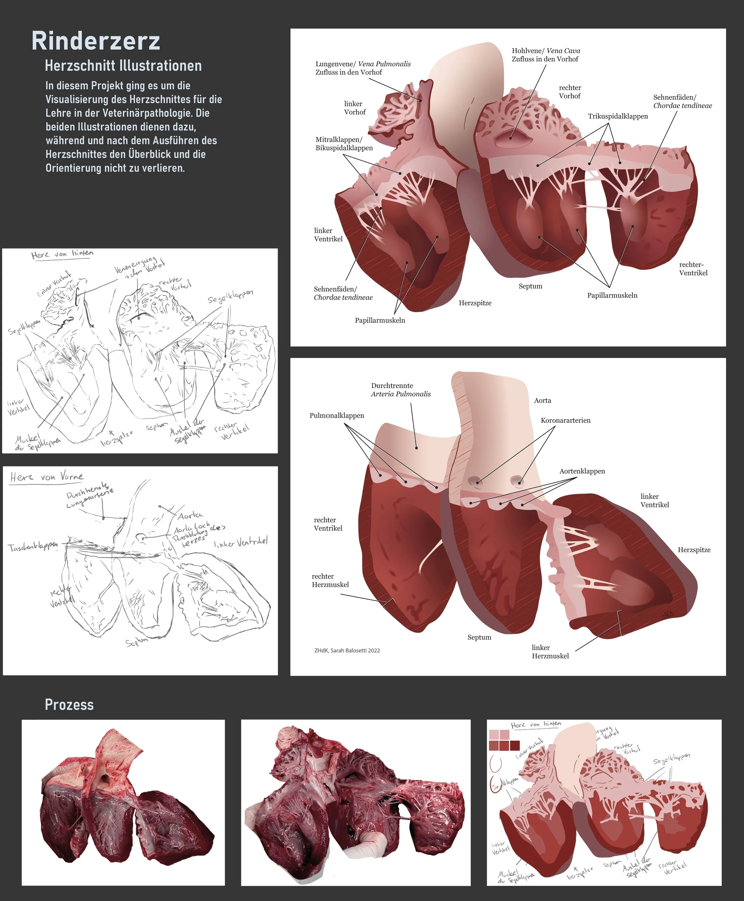 Portfolio Seite_018.jpg