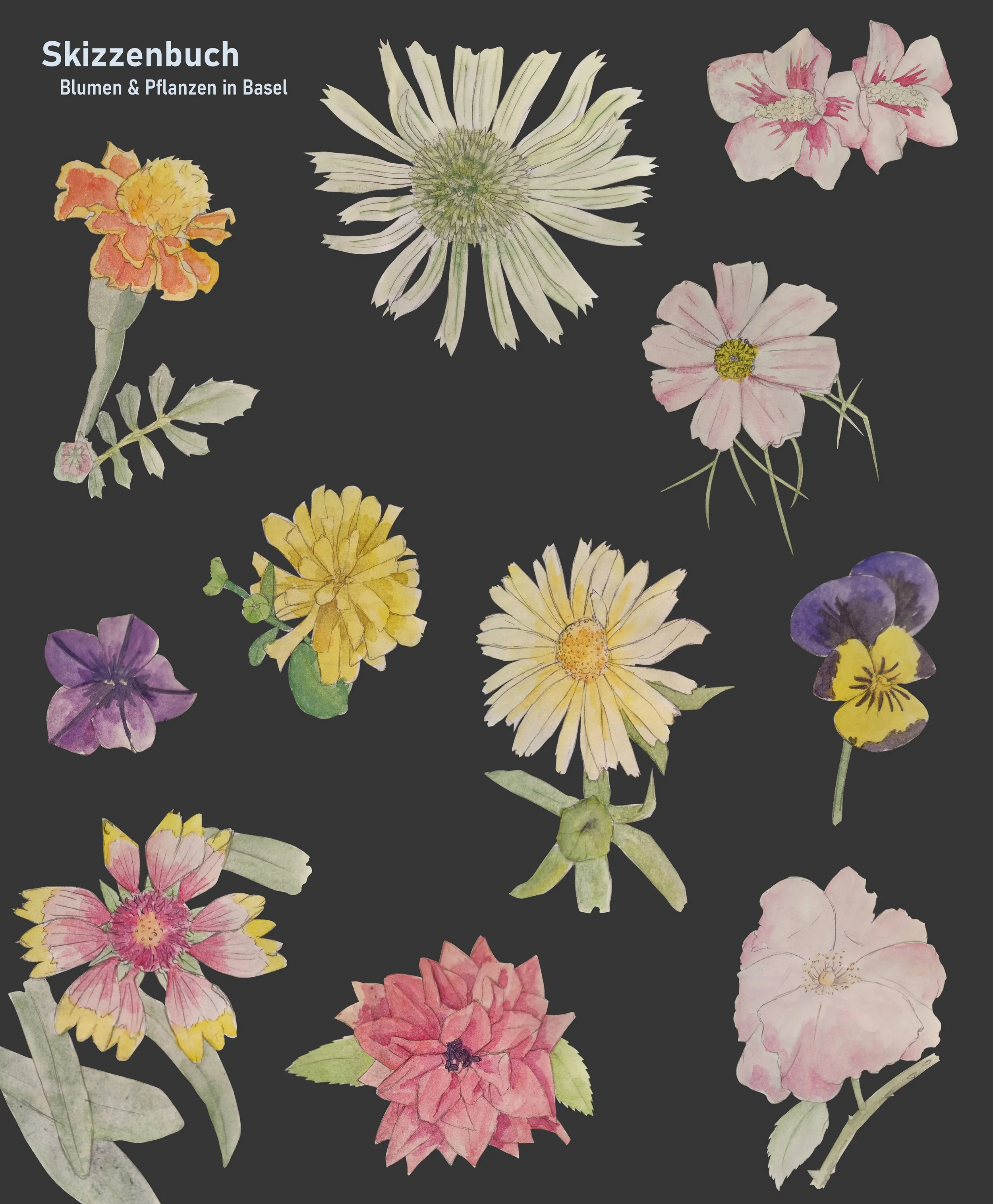 Portfolio Seite_009.jpg