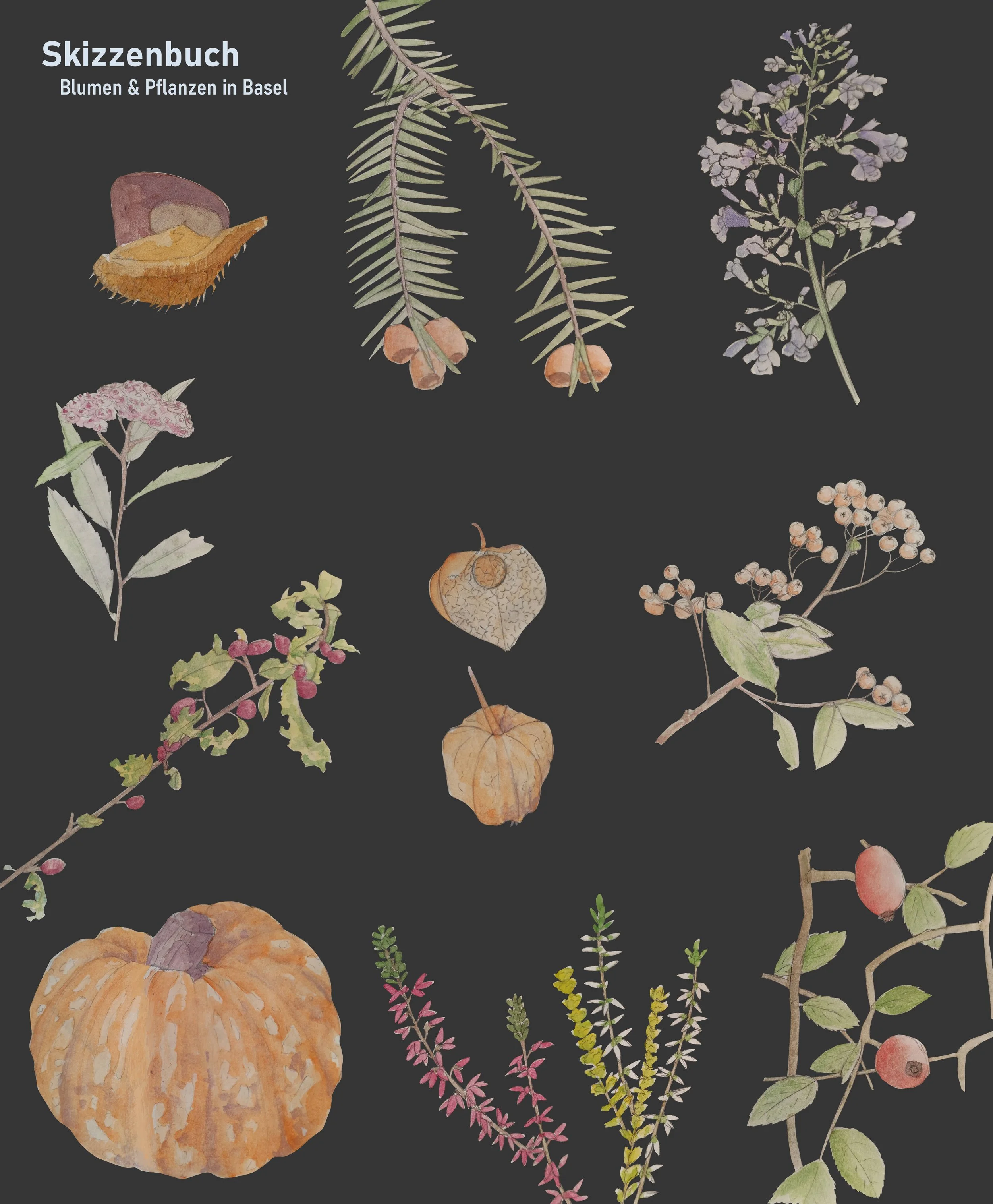 Portfolio Seite_011.jpg