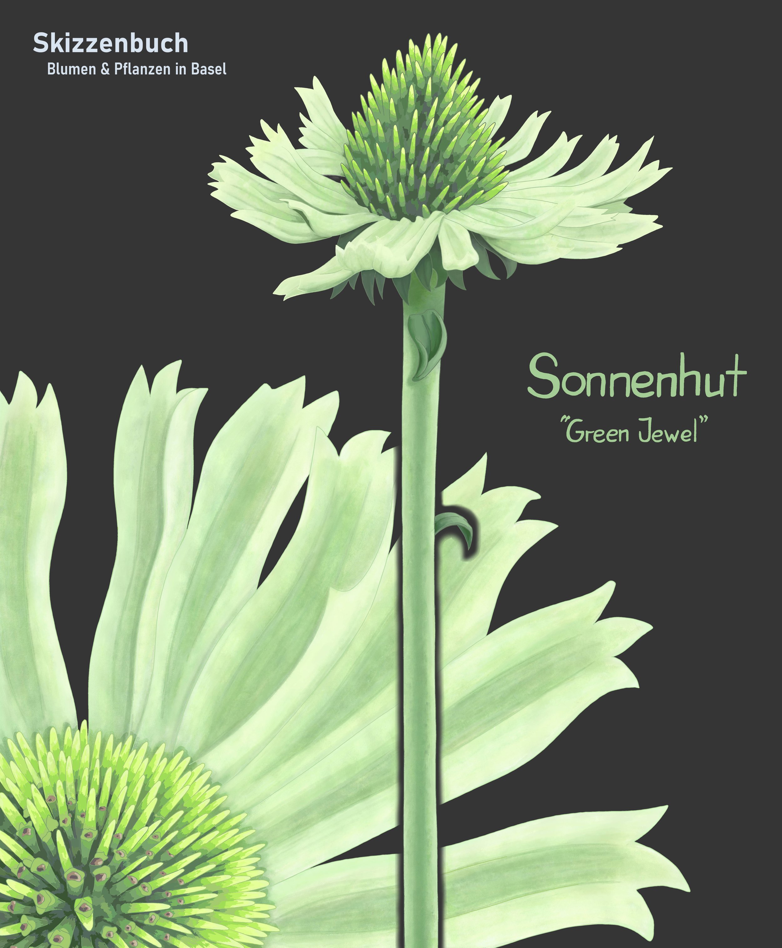 Portfolio Seite_008.jpg