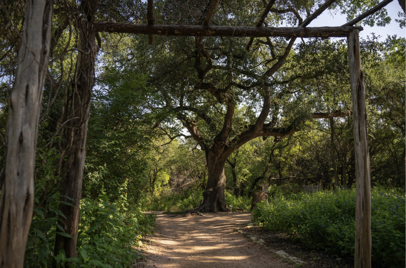 Cocktails with the Curator At Zilker Botanical Garden