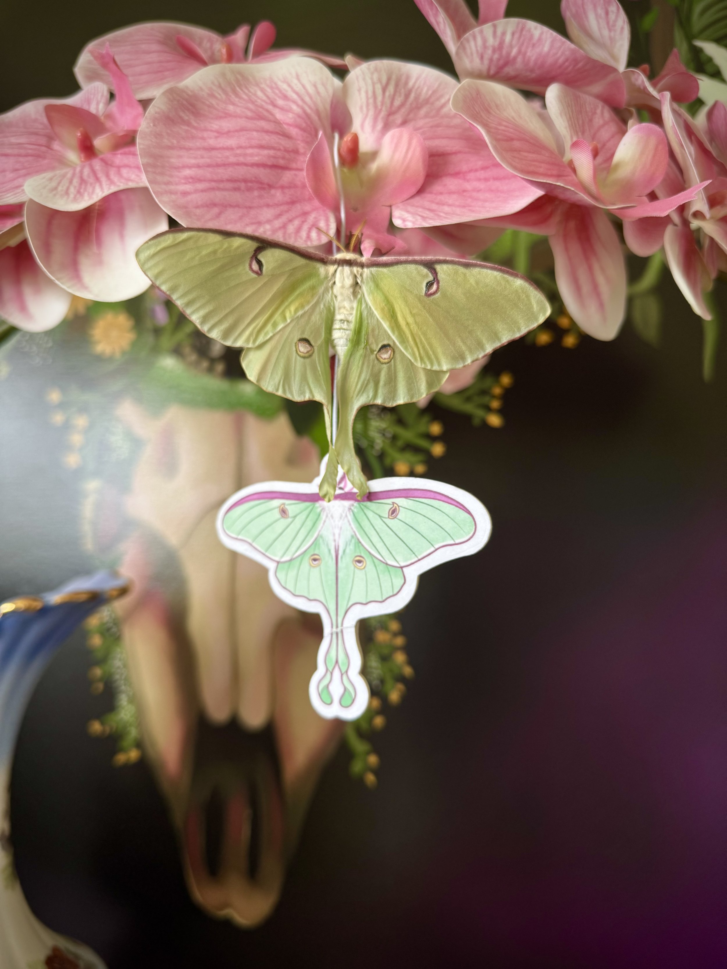 Luna moth airfreshner melon