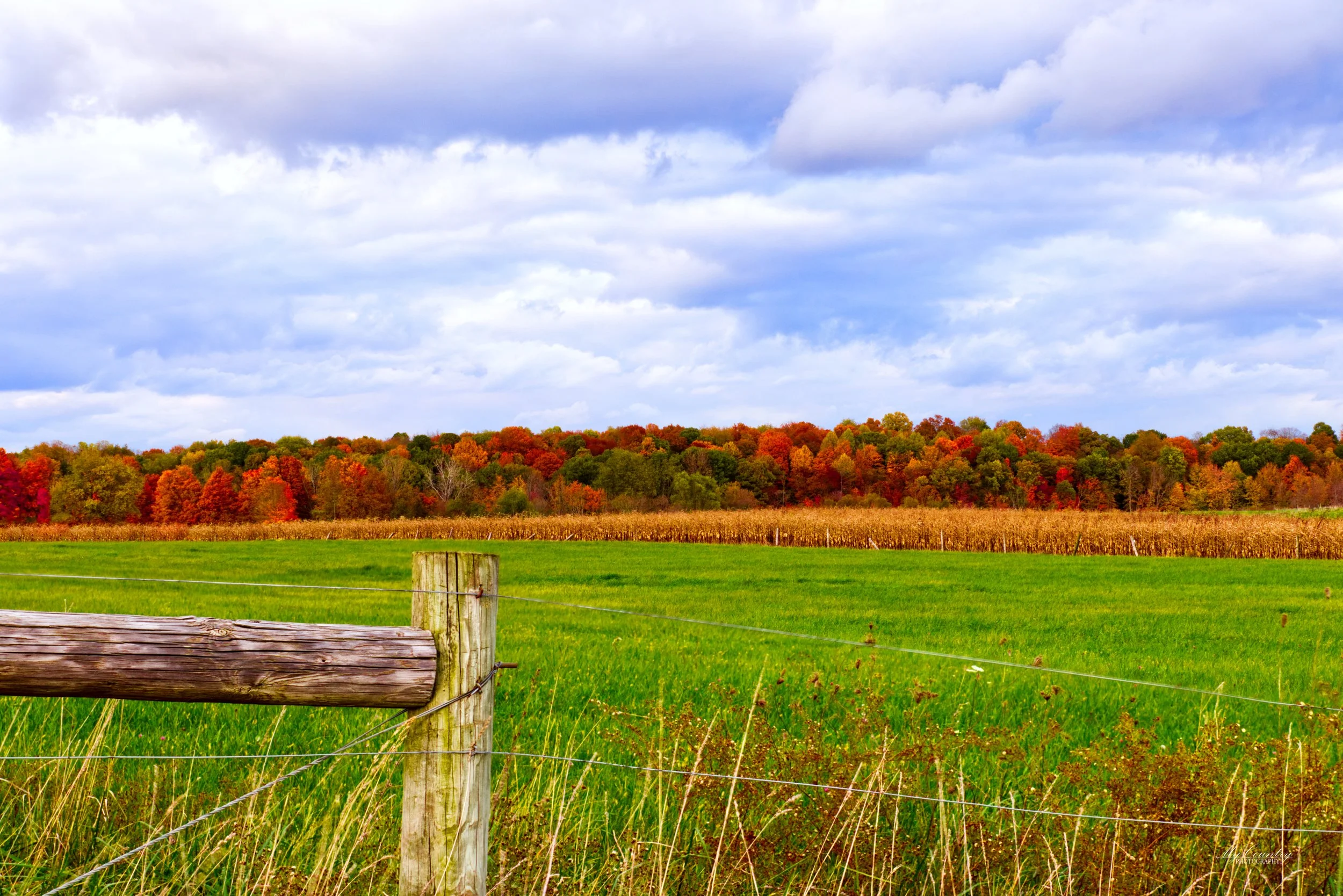 Fall Fence