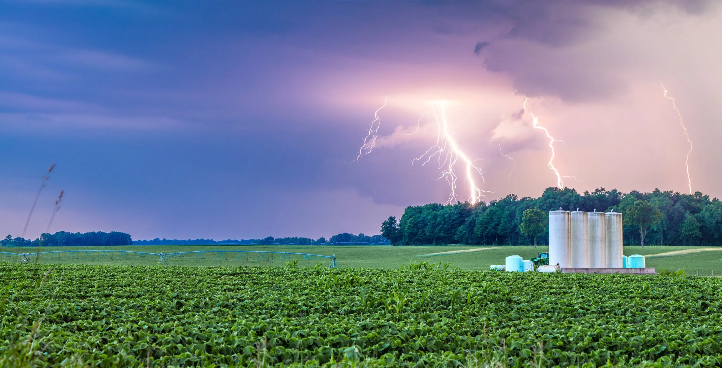 Michigan Summer Lightning (Limited Edition)