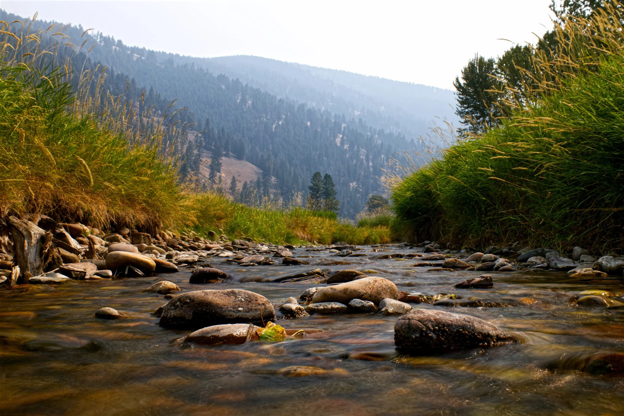 Rock Creek, Montana
