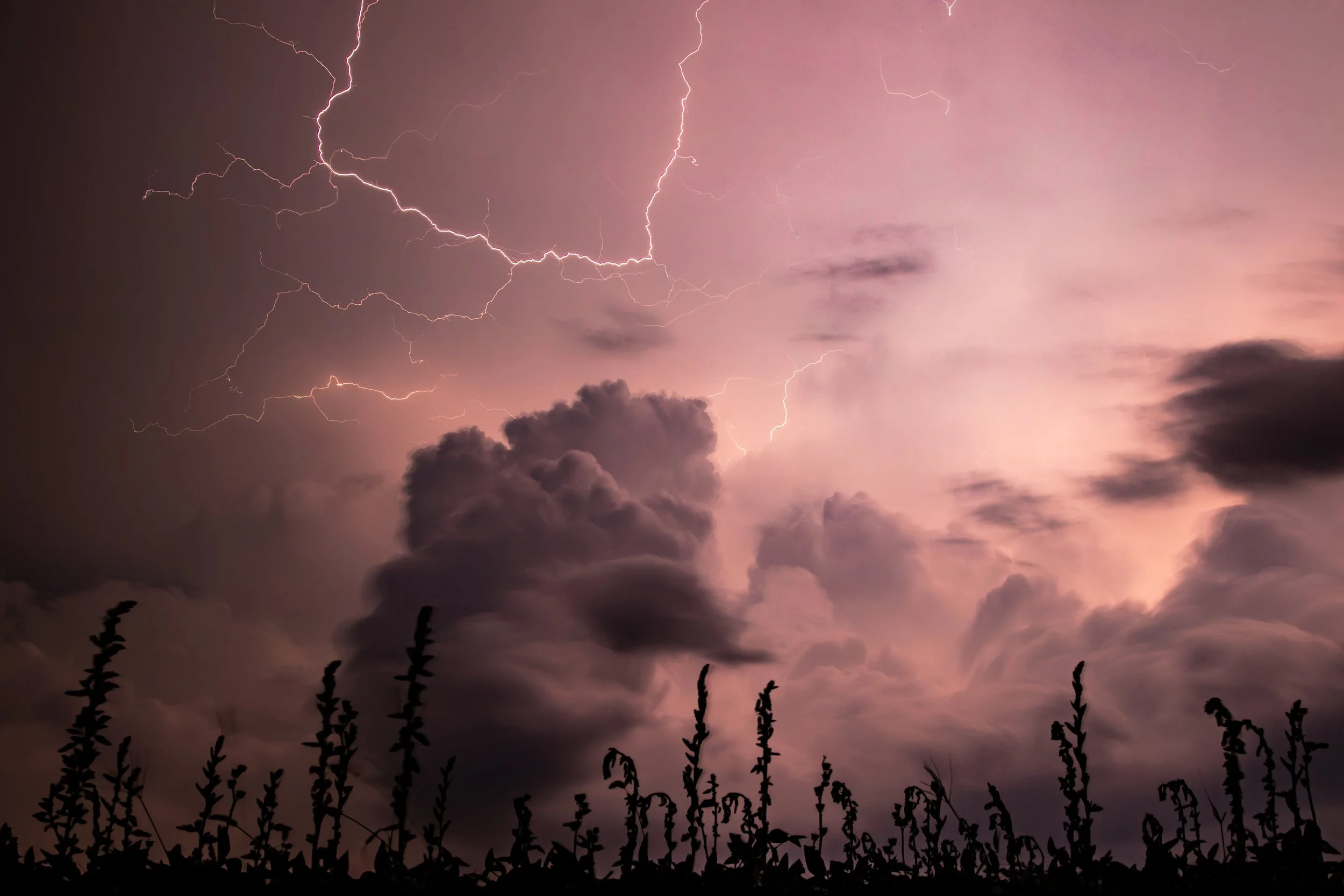 Wind and Lightning (Limited Edition)