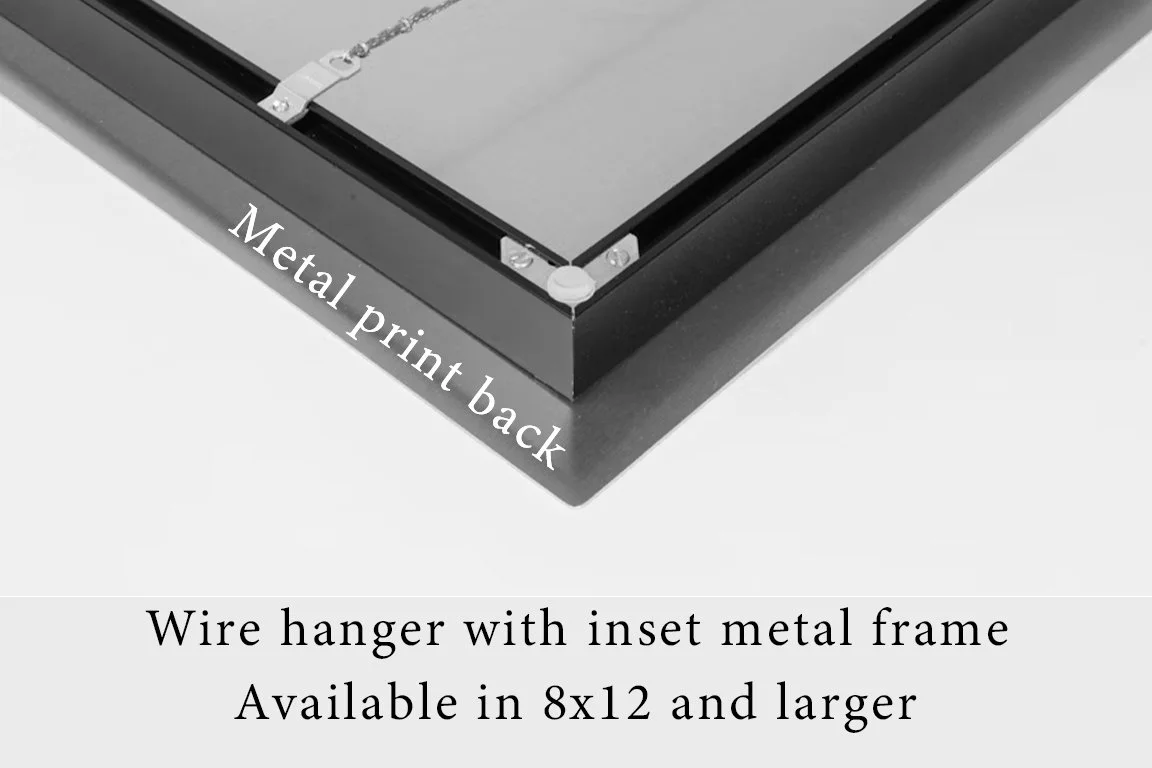 Inset Wire Metal.jpg (Copy) (Copy) (Copy) (Copy) (Copy) (Copy) (Copy)