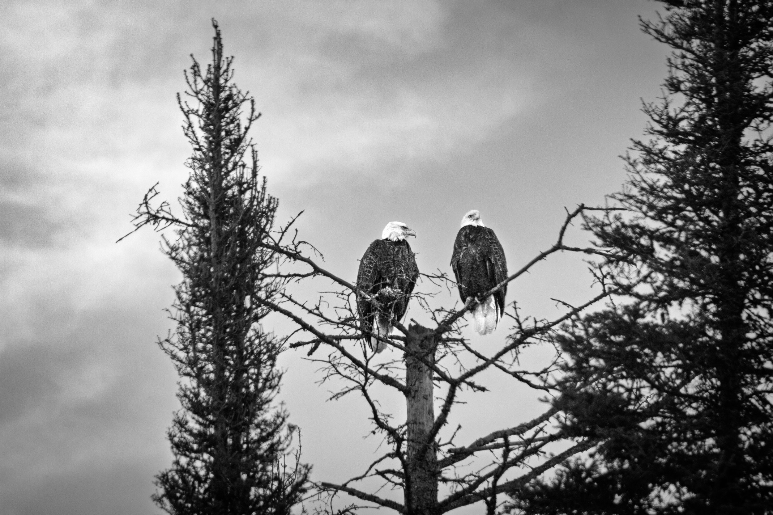 2025-02-05_0021 Print.jpg
