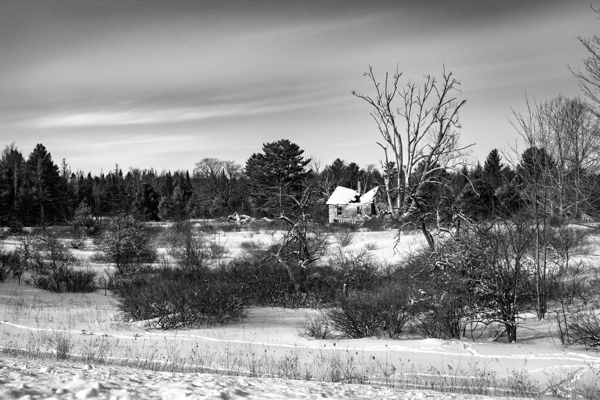 Abandoned Northern House