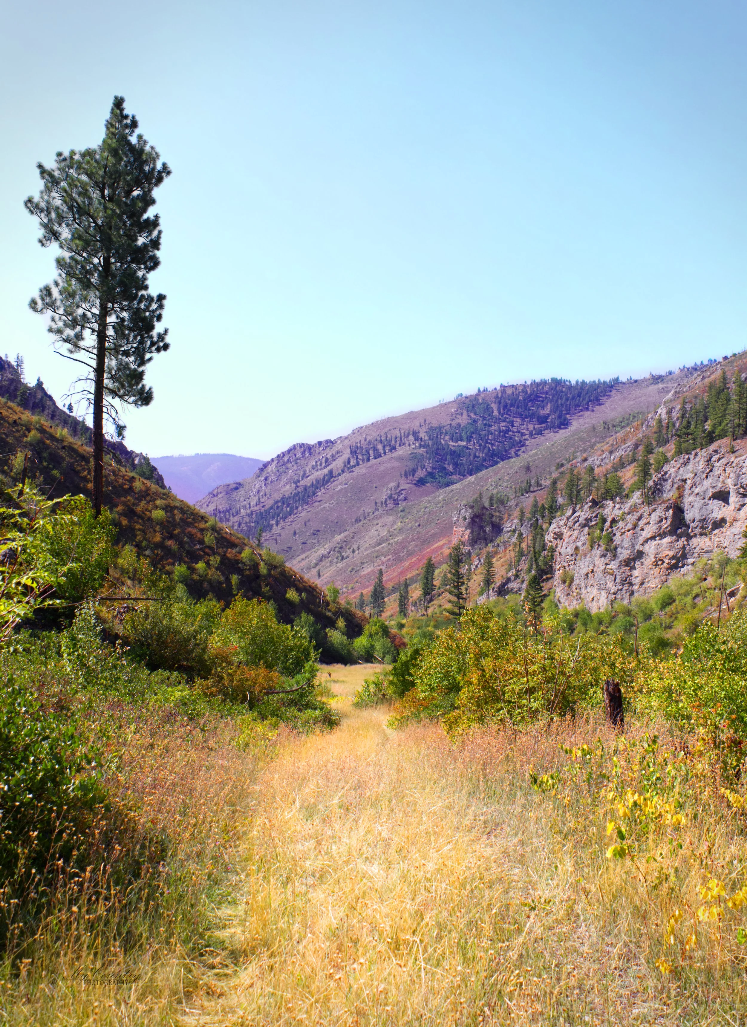 Montana Valley