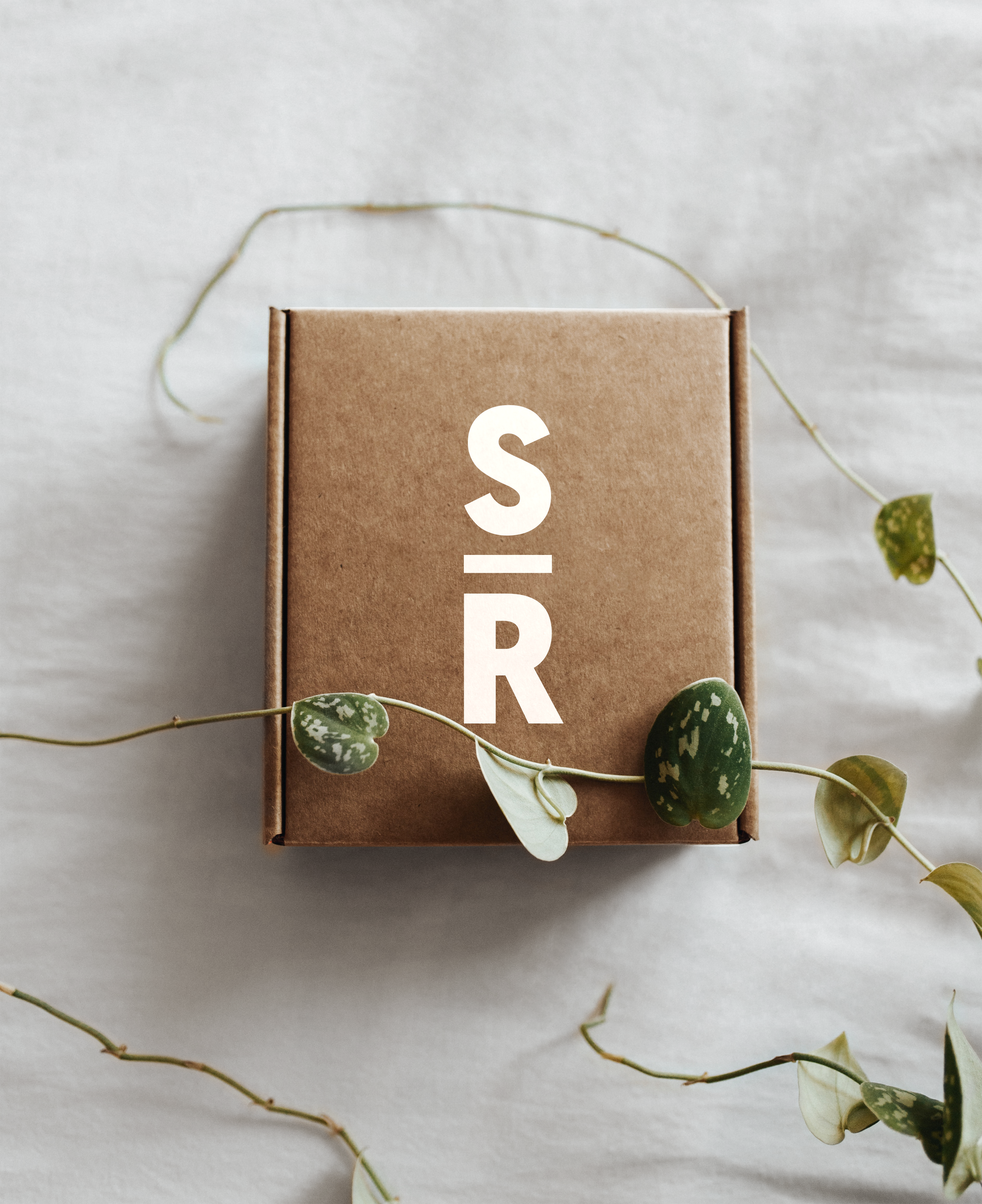 Craft-Paper-Box-Mockup.png