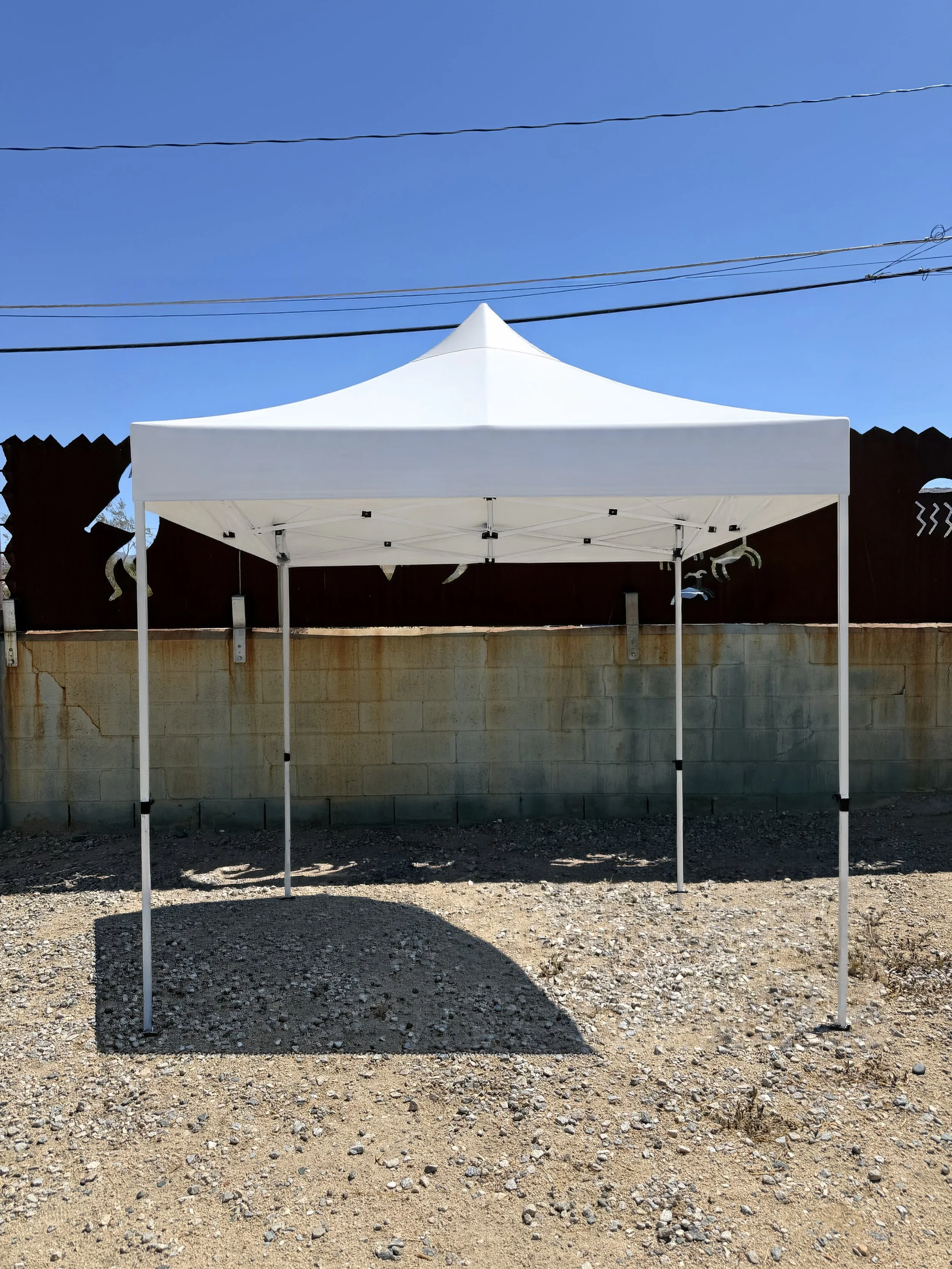 Backyard Market_Canopy 1.jpg