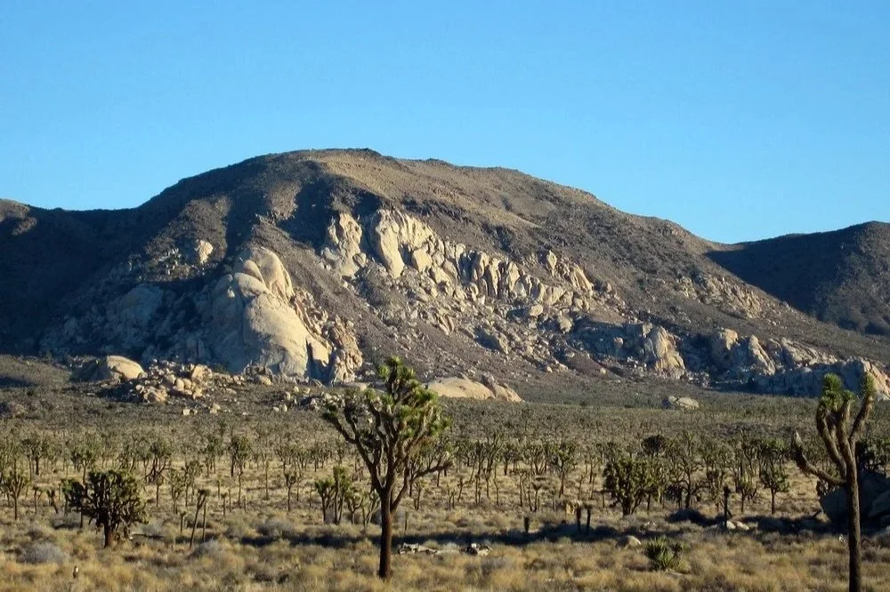 Ryan Mountain in Joshua Tree National Park