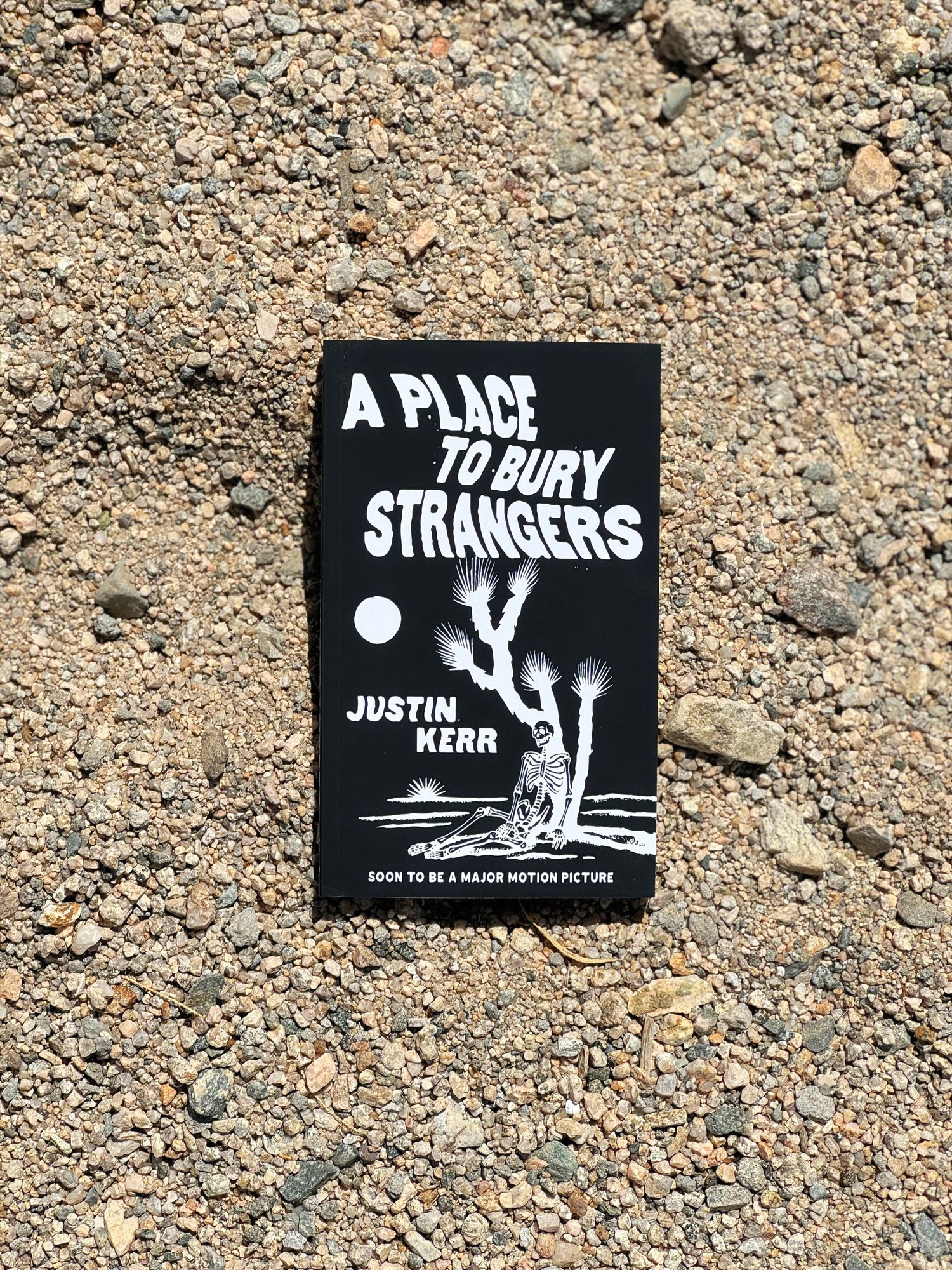 中古 a place to bury strangers 2LP A Place to Bury Strangers - Synthesizer (Levitation Edition