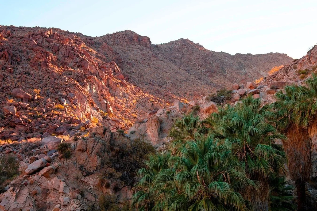 Fortynine Palms Oasis Trail - Joshua Tree National Park