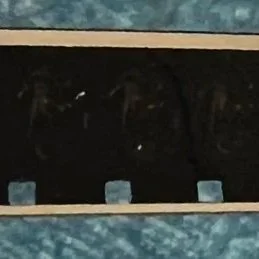 Identifying Sound Film