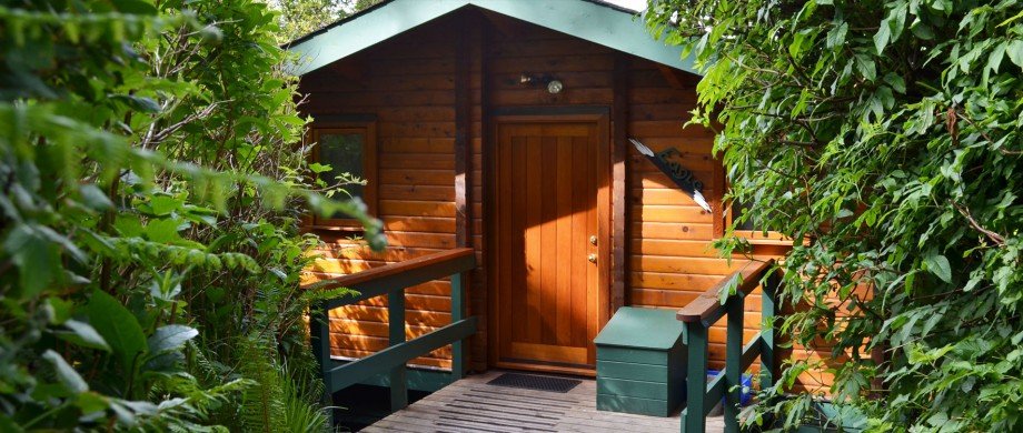 Small wooden cabin surrounded by lush green bushes, with a wooden door and a small deck with railings.