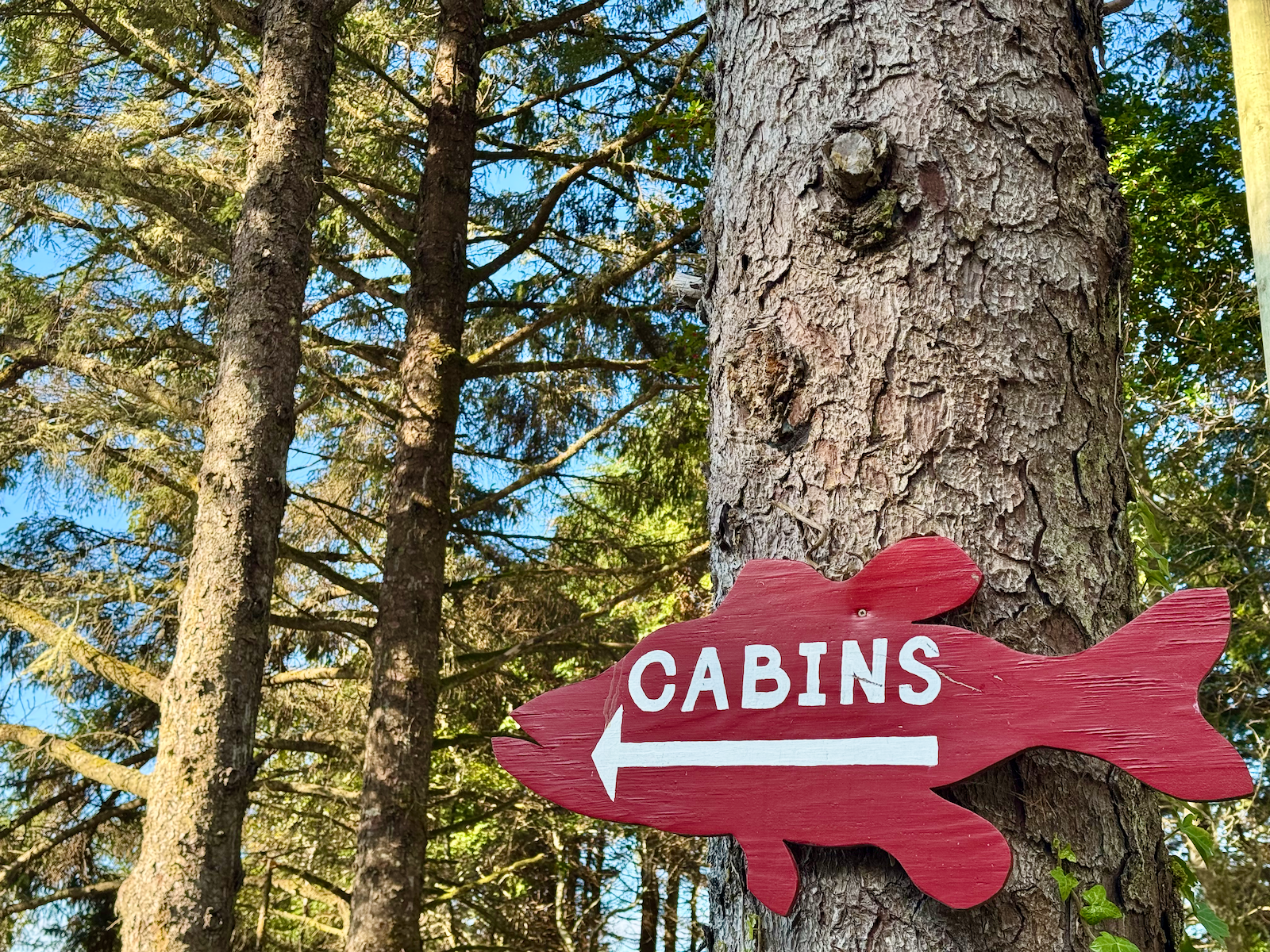 PNP "Cabins" sign