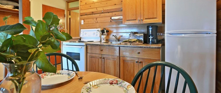 Kitchen with wooden cabinets, a white stove, a coffee maker, a white refrigerator, and a round dining table with chairs, a plant, and plates.