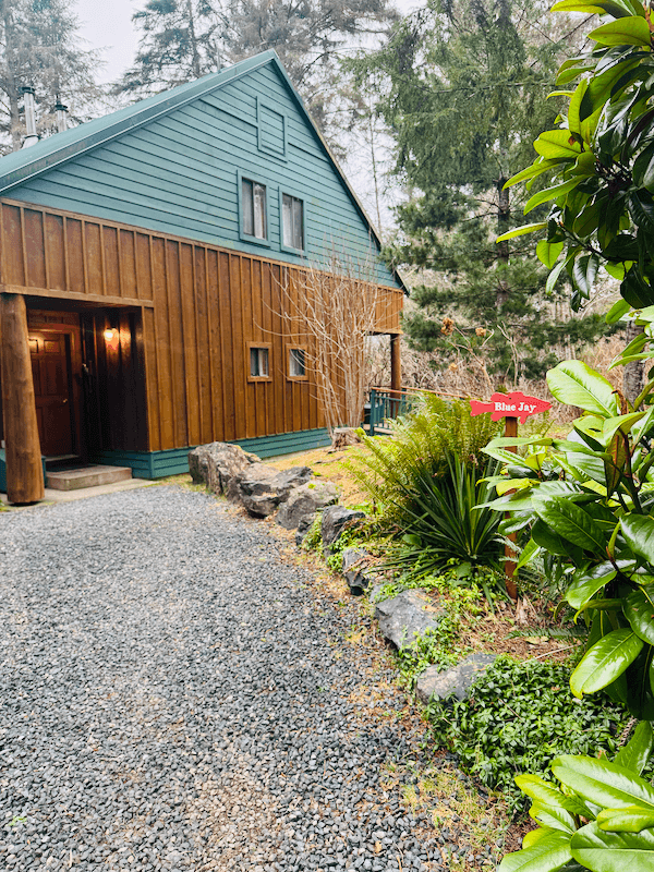 Blue Jay Cabin exterior surrounded by greenery and rocks, with a gravel pathway leading to the entrance. There is a sign that reads 'Blue Jay' near the plants.
