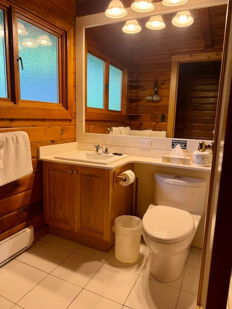 Cabin 10 bathroom with wood-paneled walls, a white toilet, a vanity with a white sink, a large mirror, and windows with textured glass.