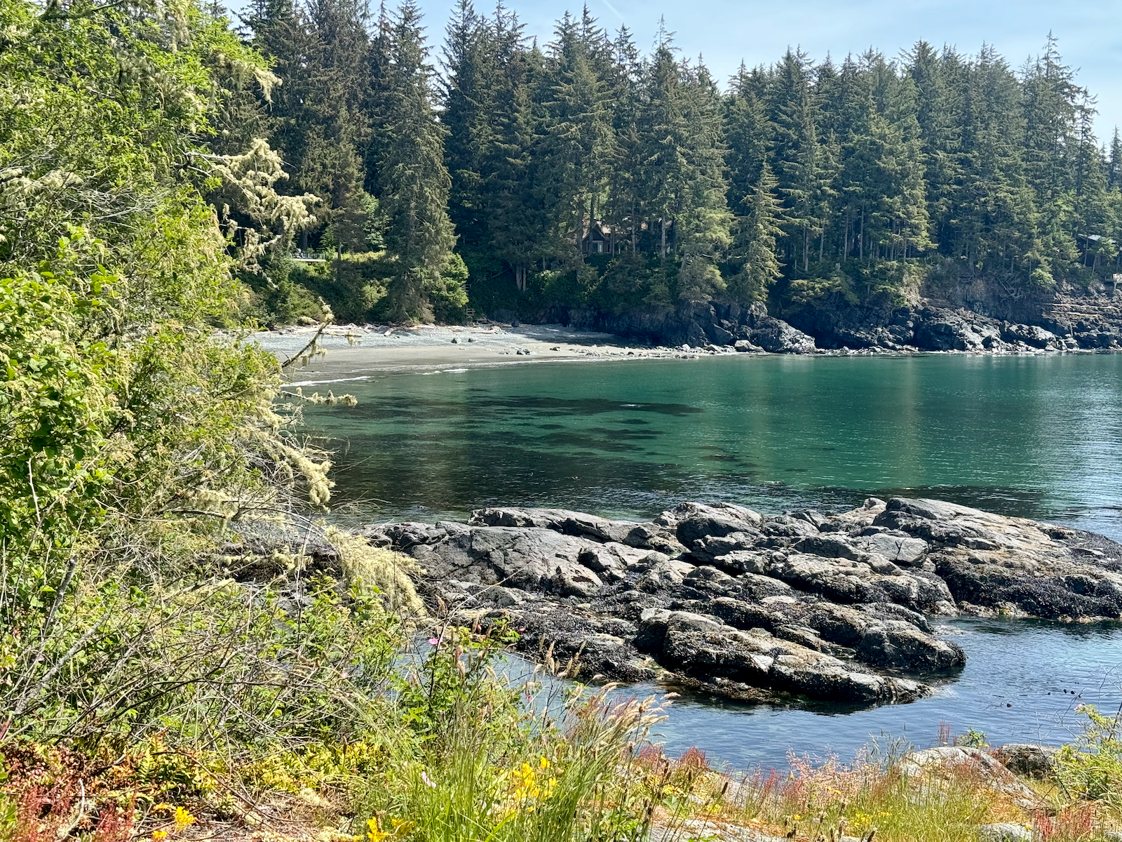 A scenic view of a forested shoreline with evergreen trees, rocks, and a small beach, beside a calm, greenish-blue body of water on a clear day.
