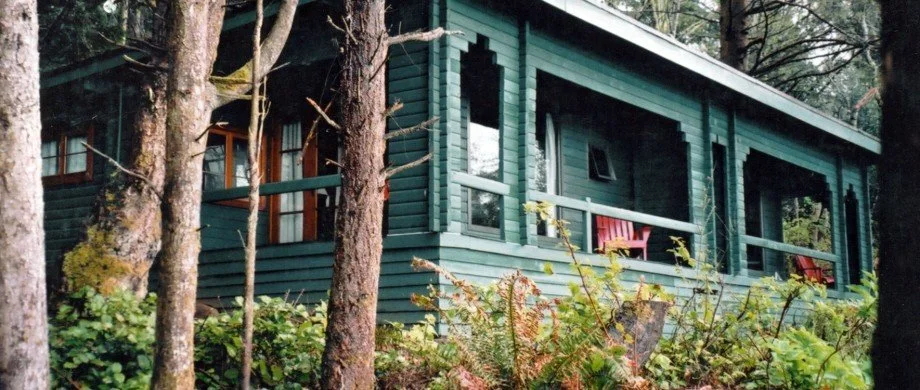 A green wooden cabin with a porch, set among trees and shrubs in a forest.