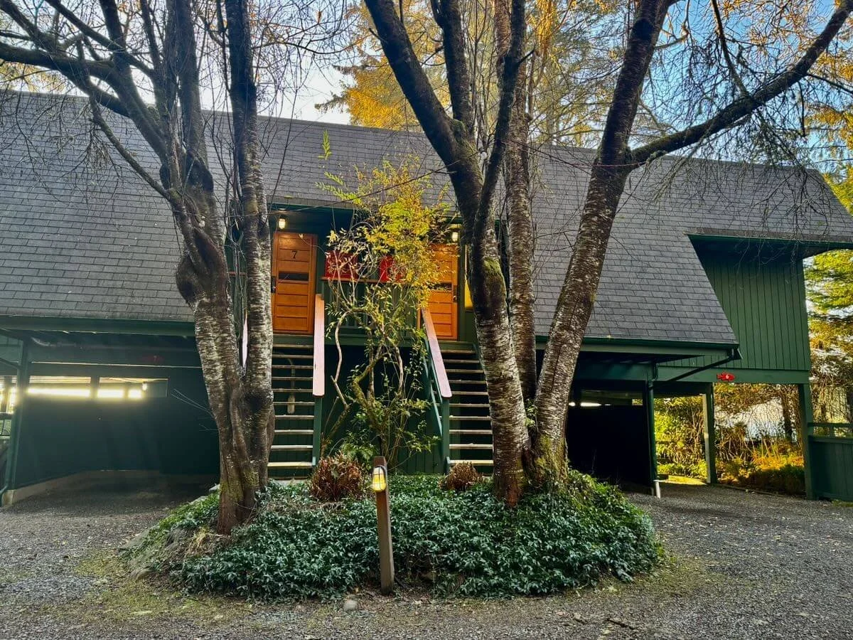 A house with dark green exterior, steps leading to wooden front doors, surrounded by trees and plants, with a gravel driveway and parking area underneath.