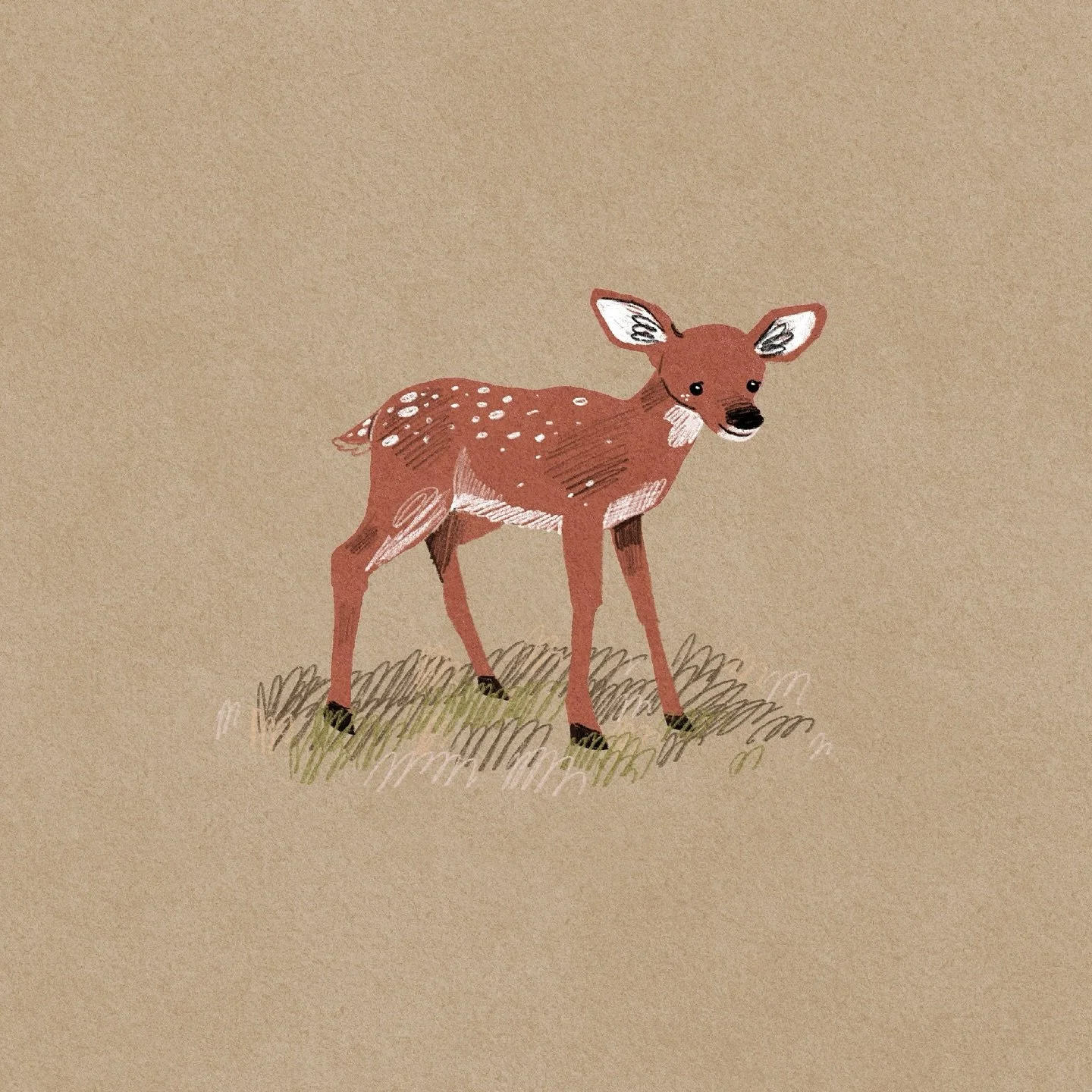 Happy little deer 🦌!!!!!
-
#illustration #childrensbookillustration #kidlitillustration #kidlit #kidlitpostcard #digitalart #deer #deerdrawing