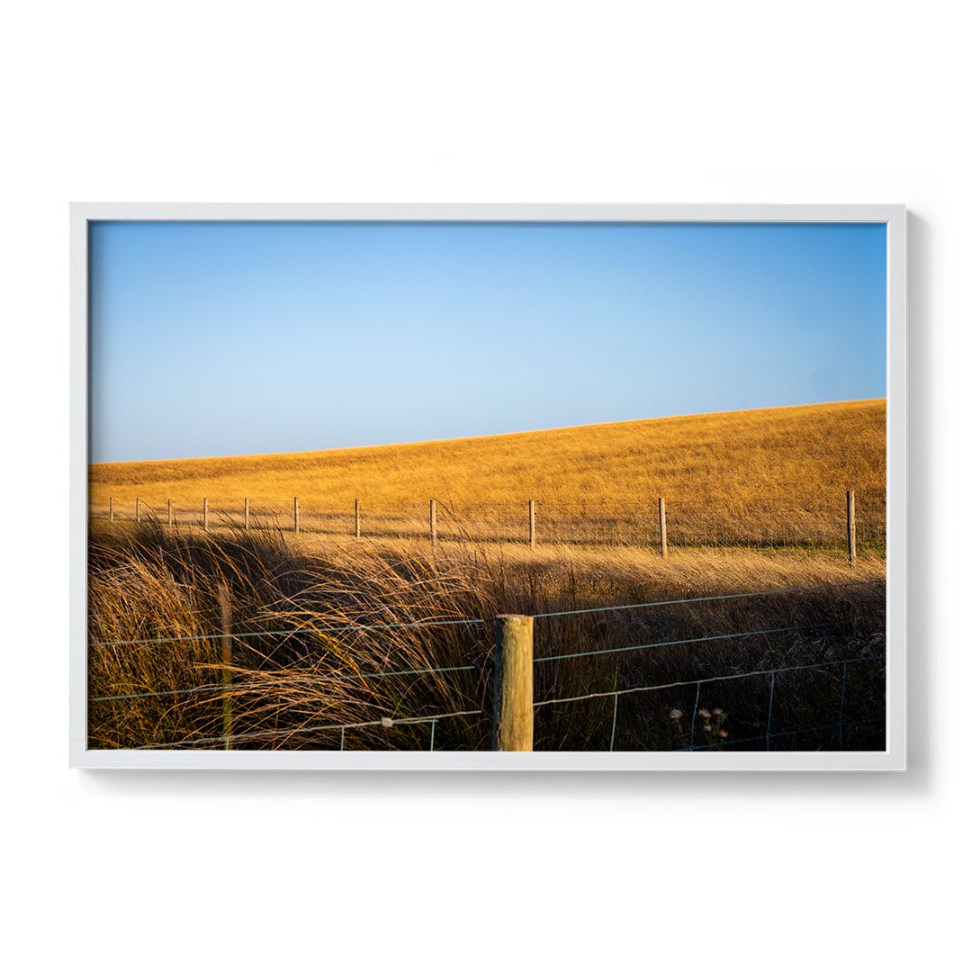 Hindmarsh-Framed-White.jpg