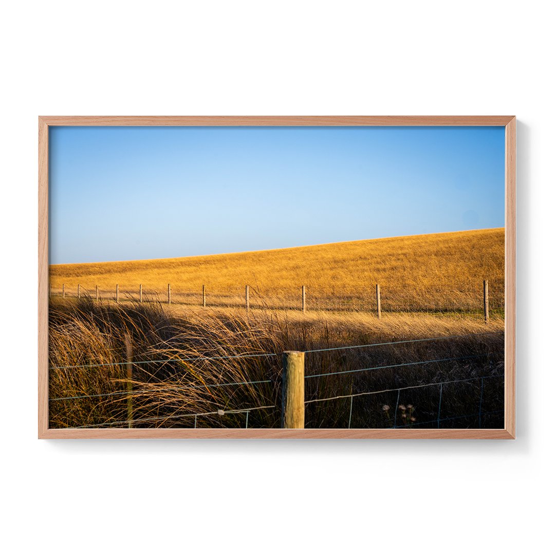 Hindmarsh-Framed-Oak.jpg
