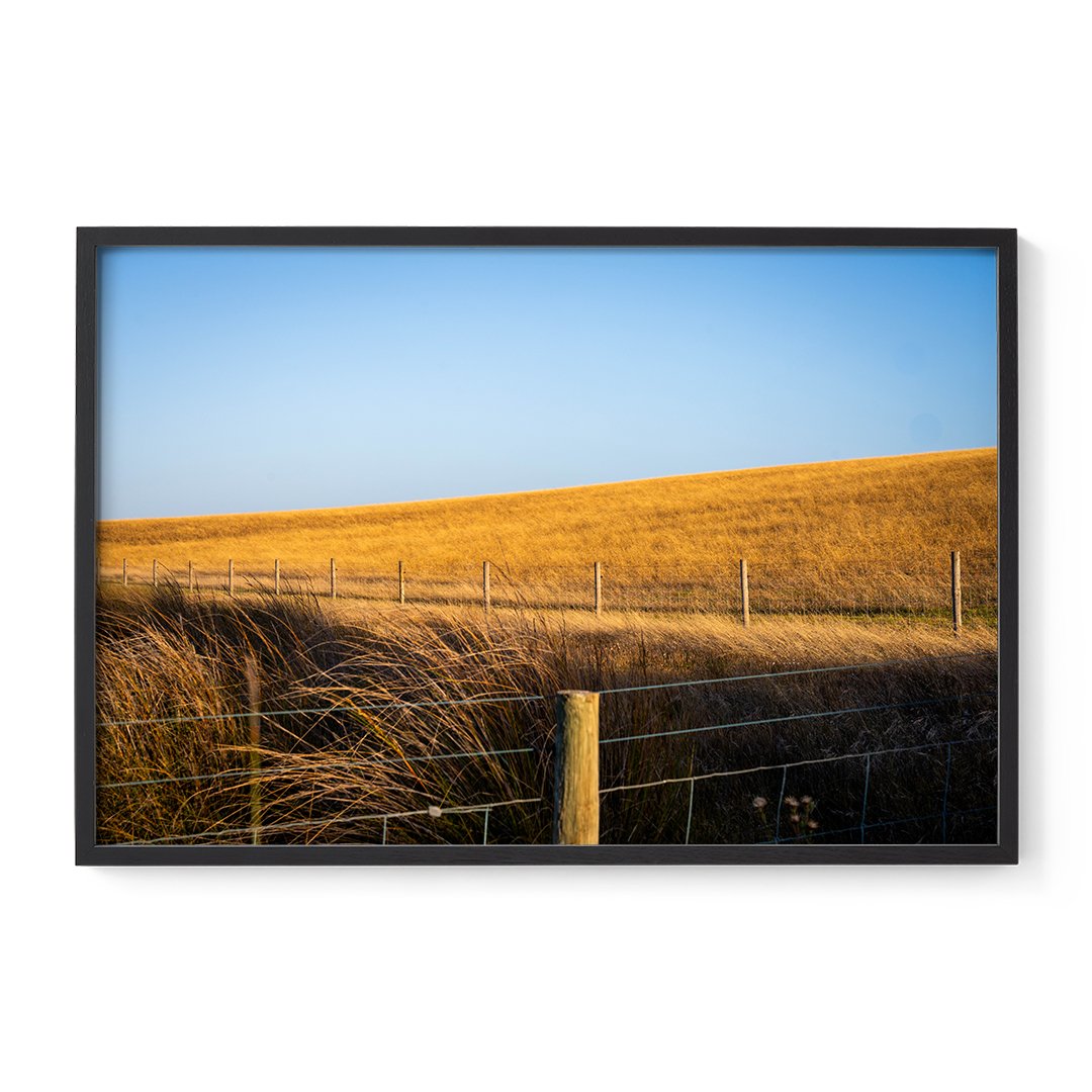 Hindmarsh-Framed-Black.jpg