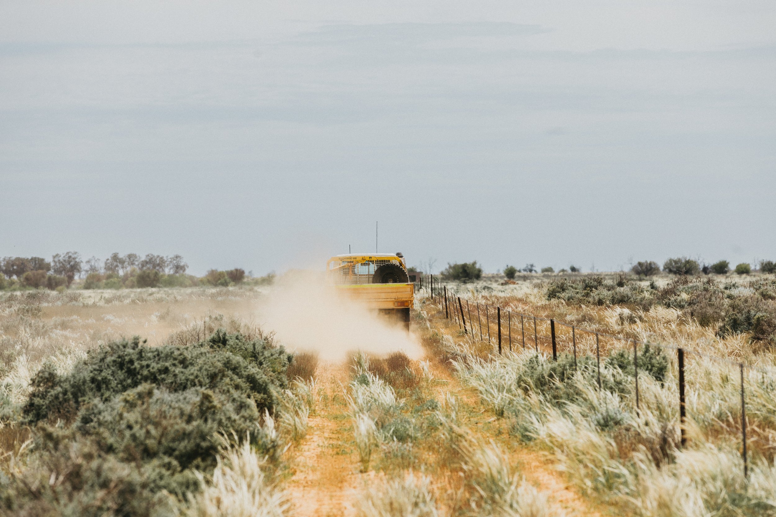 Sturt Vale Pastoral HIGH RES -138.jpg