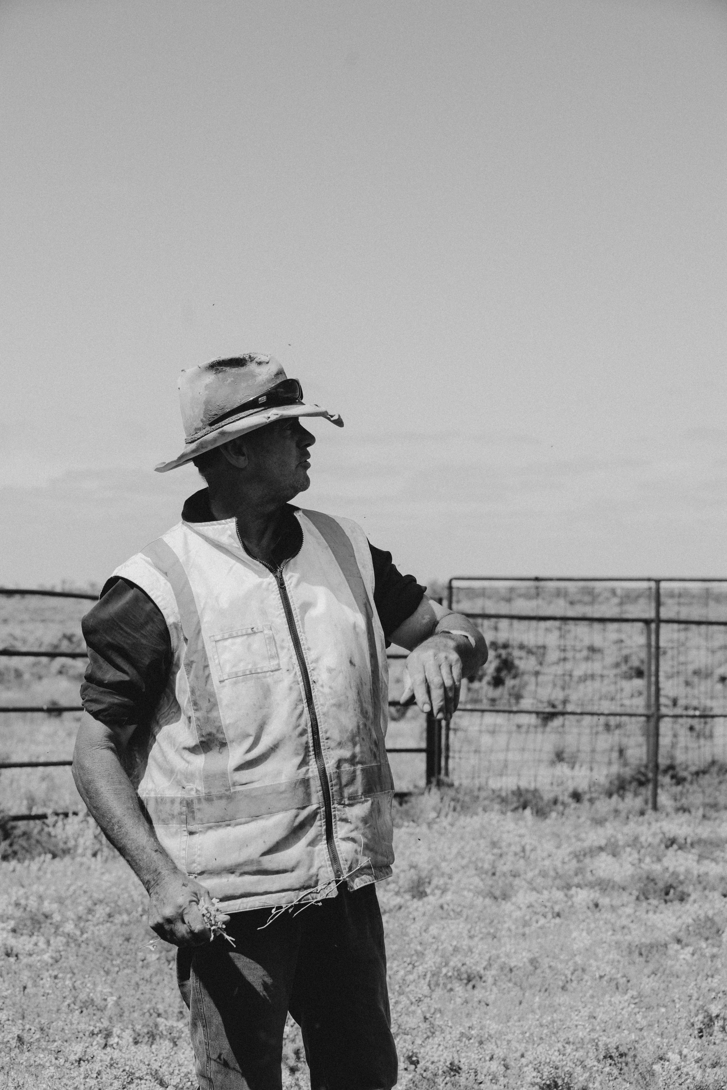 Sturt Vale Pastoral