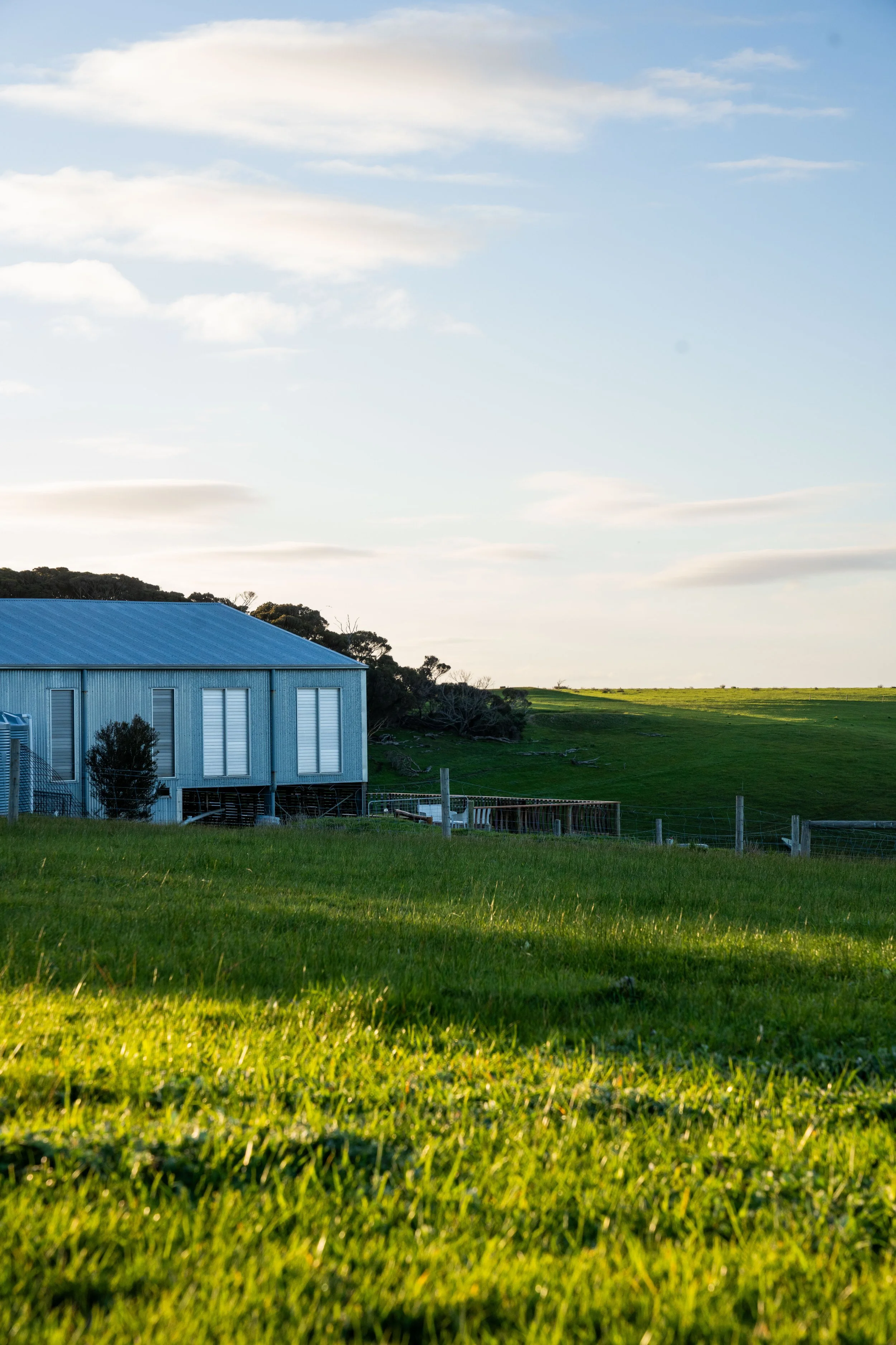 Dudley Peninsula