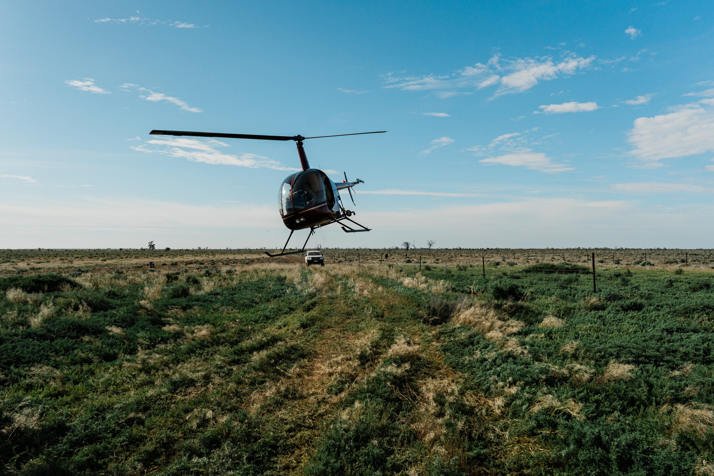 Sturt Vale Pastoral HIGH RES -046.jpg