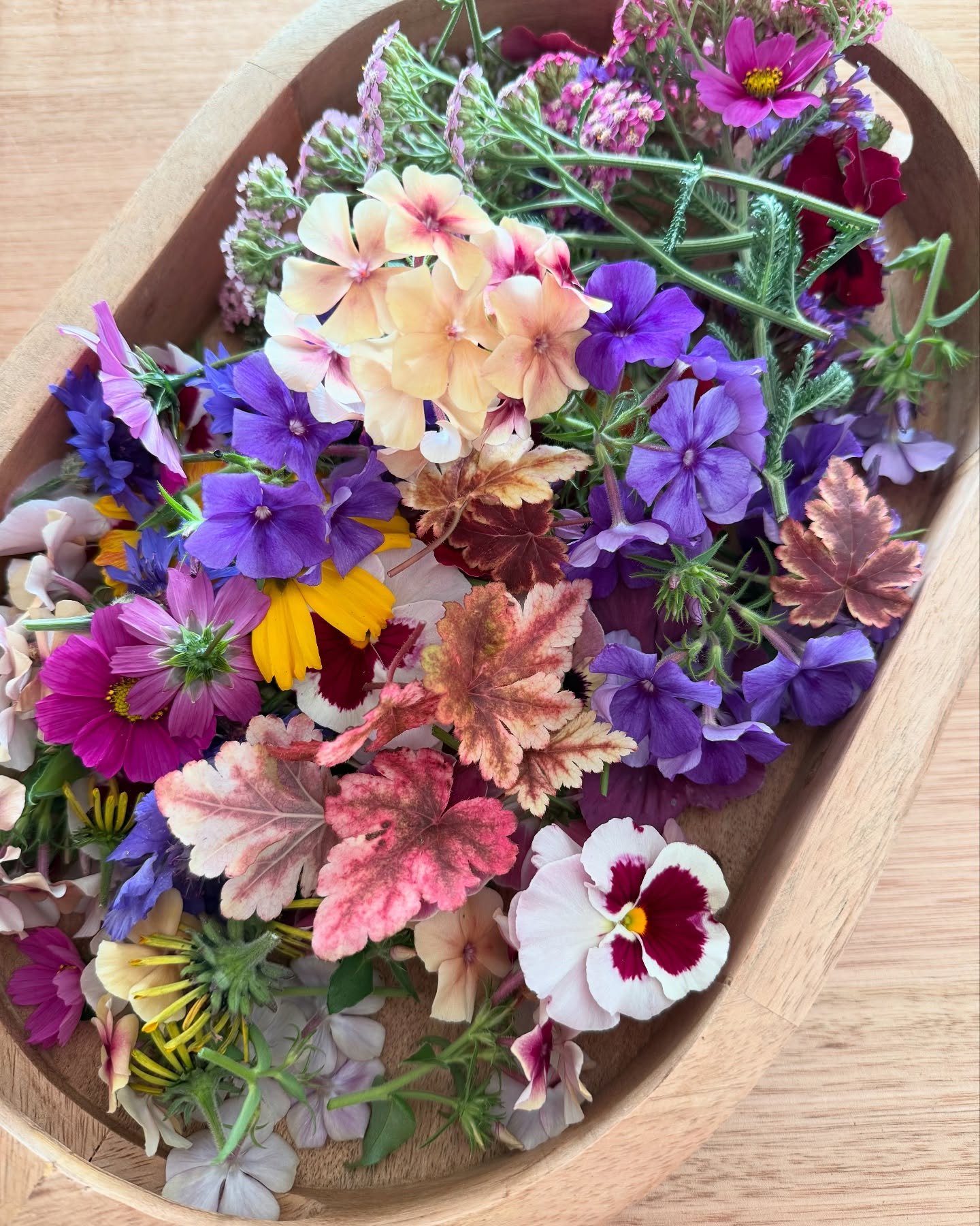 🌸 A slower pace 🌸

The last of the flowers are quickly fading from the garden as the days get colder with winter close to setting in. I went out this morning to pick flowers to press for upcoming cosy crafternoons before they are gone for good.

I&