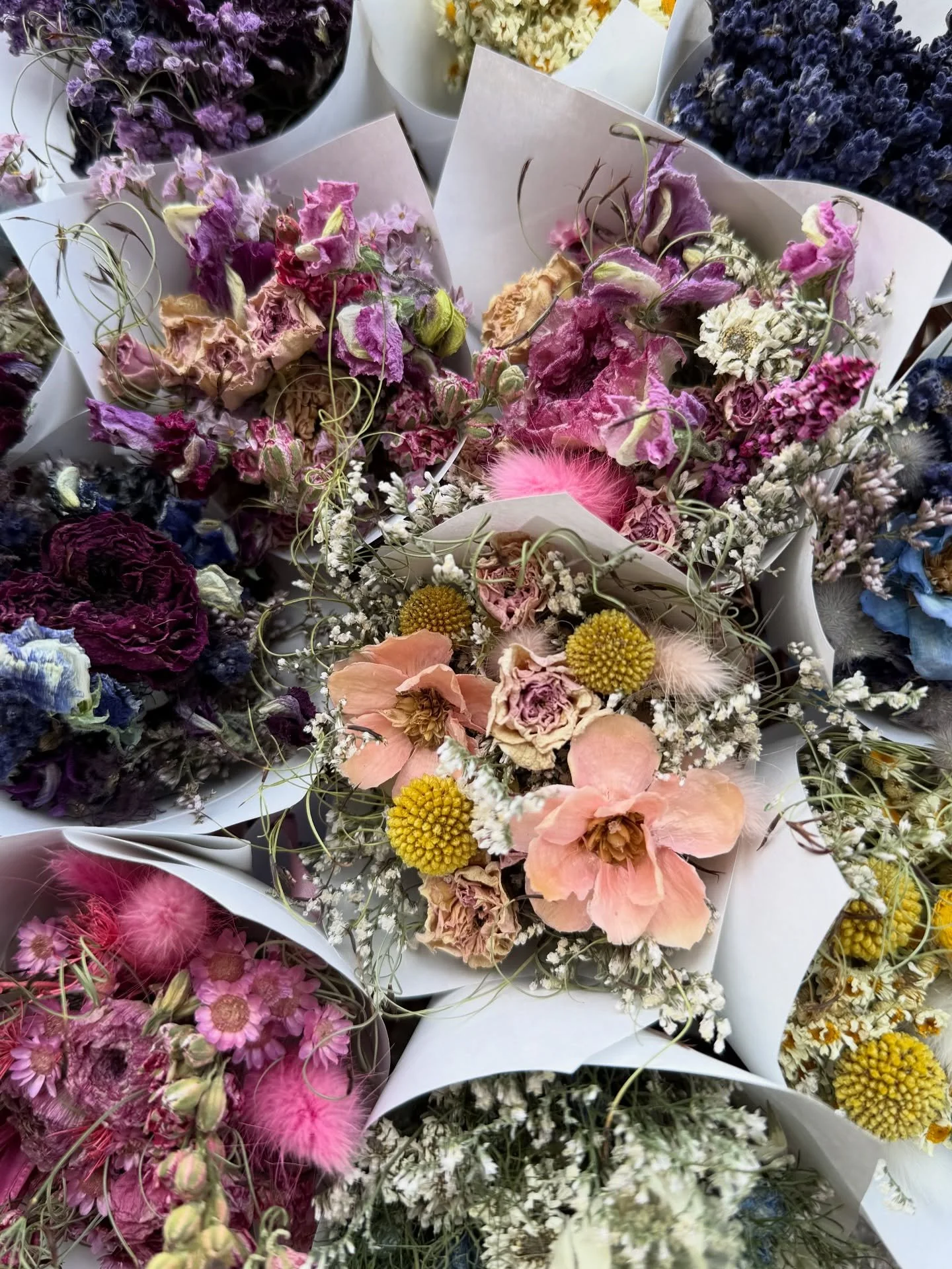 Dried mini pixie posies have been restocked 🧚🏻@themalbon_bungendore just in time for your Christmas gift shopping 🎄✨

These include a combination of our farm grown dried flowers, naturally coloured dried flowers and paper flowers. 
&bull;
&bull;
&