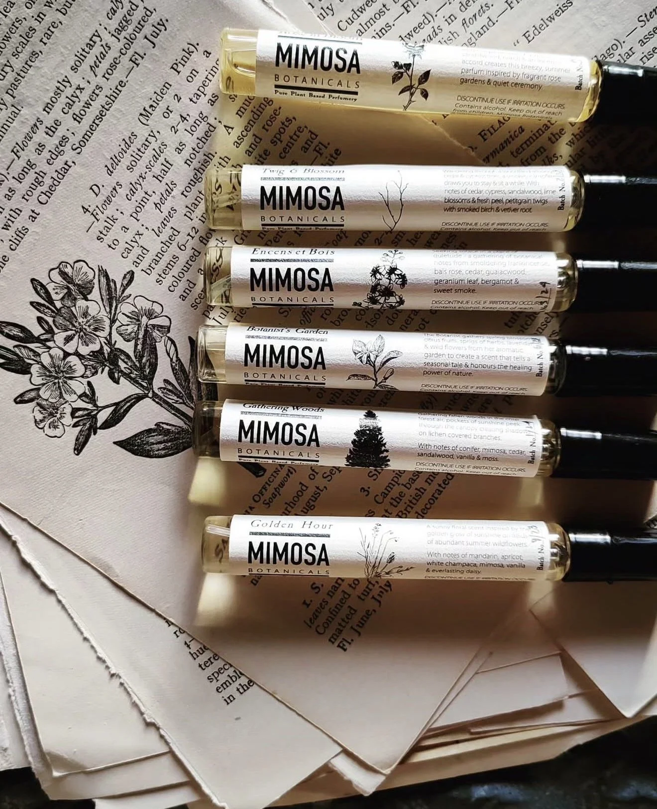 Mimosa Botanicals - Natural Parfum (10ml)