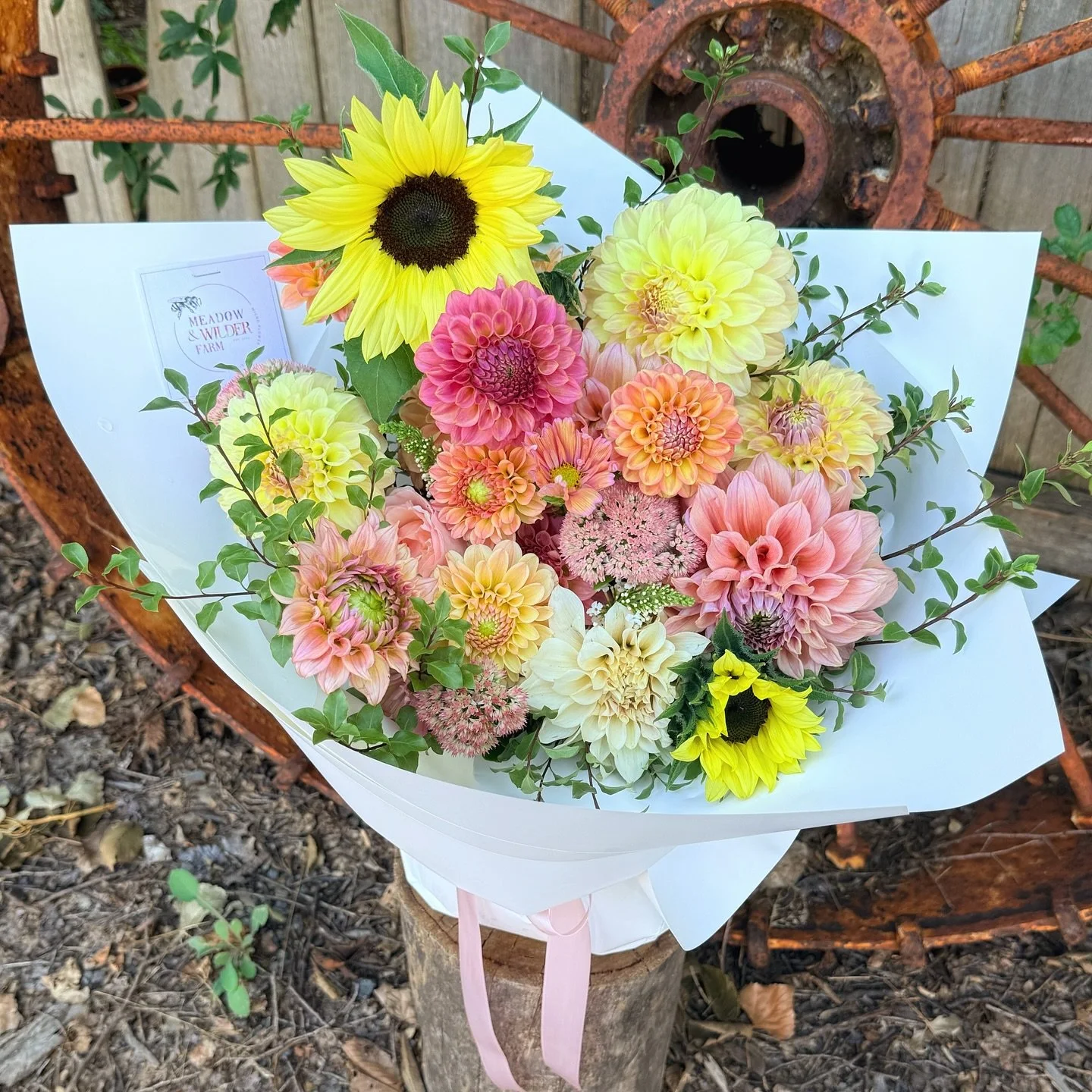 ☀️ She blooms in the sun, she grows in the rain 🌻

We are cutting our beautiful sunnies this week and tucking them in your bouquets. Send a little bit of sunshine someone&rsquo;s way.

Order online by 11am for same day delivery 🚚 🌼🌼🌼