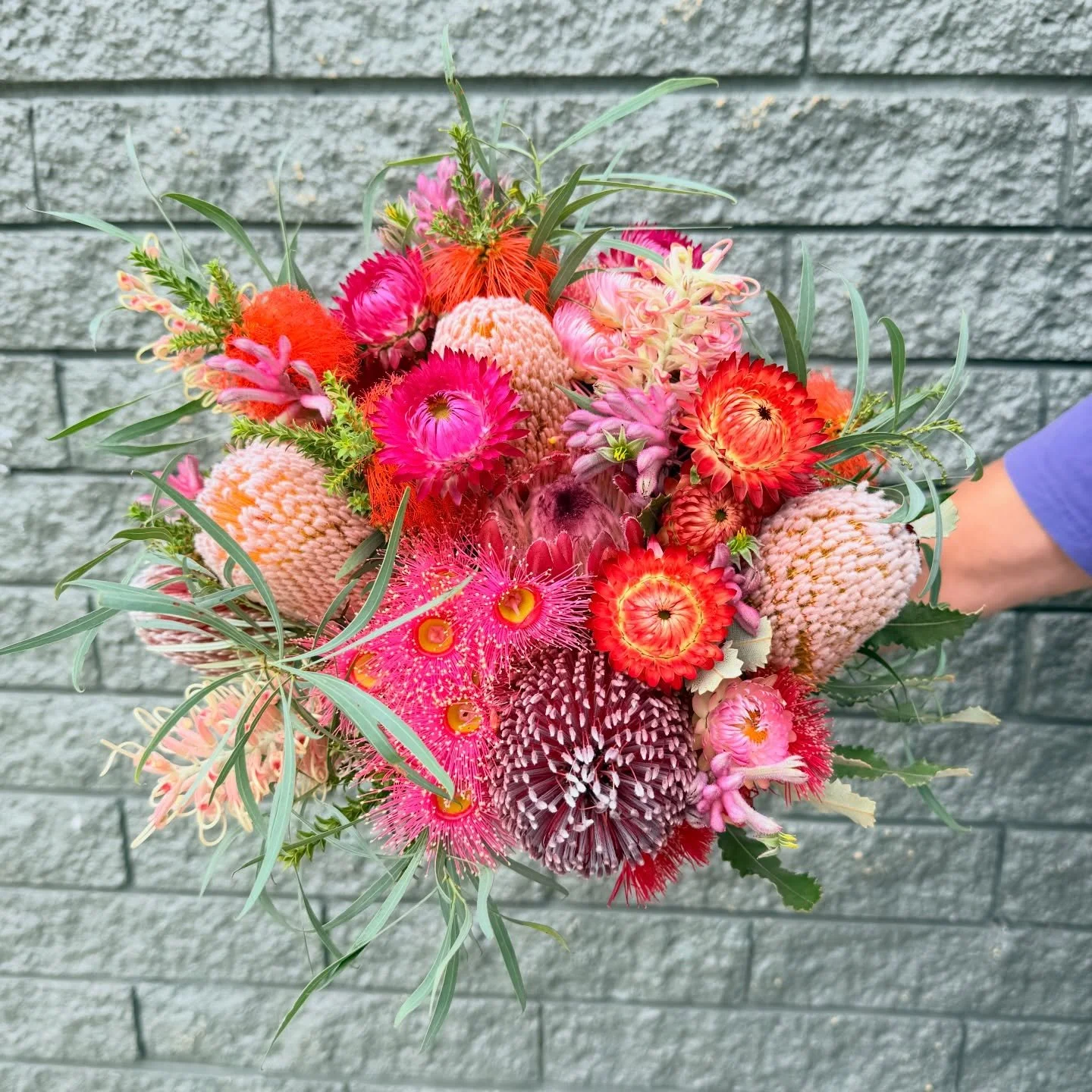 Congratulations 🩷 Sarah + Kim 🩷

We had the pleasure of creating their personal florals for their wedding day over the weekend and absolutely loved their choice for fun, vibrant natives in tones of pink, peach and red. 

Listen in on slide #3 for c
