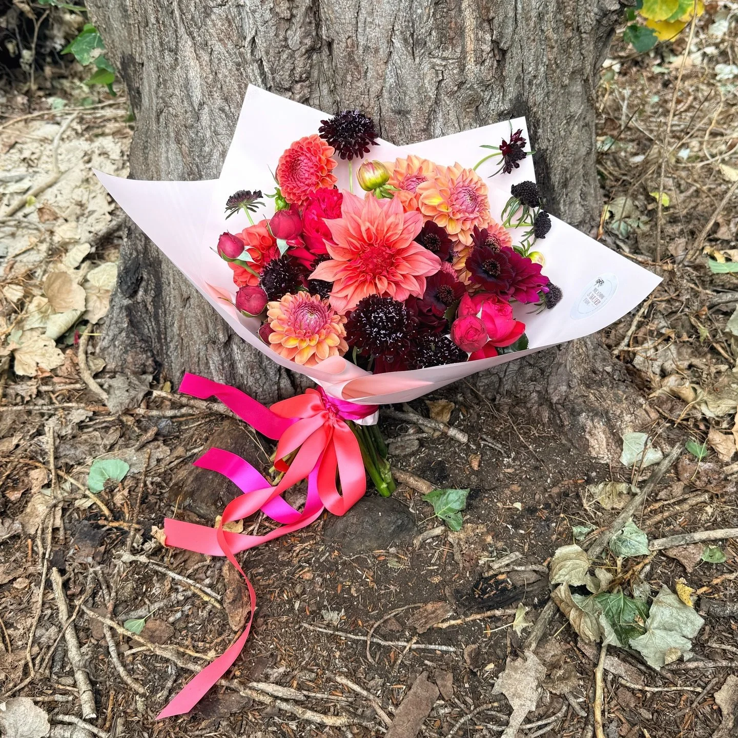 Burnished Autumn 🍂

There&rsquo;s a small window on the farm right now - somewhere between the last of summer, the richness of autumn and the quiet beginning of winter creeping in.

It&rsquo;s impossible not to love the change in natures colour pale