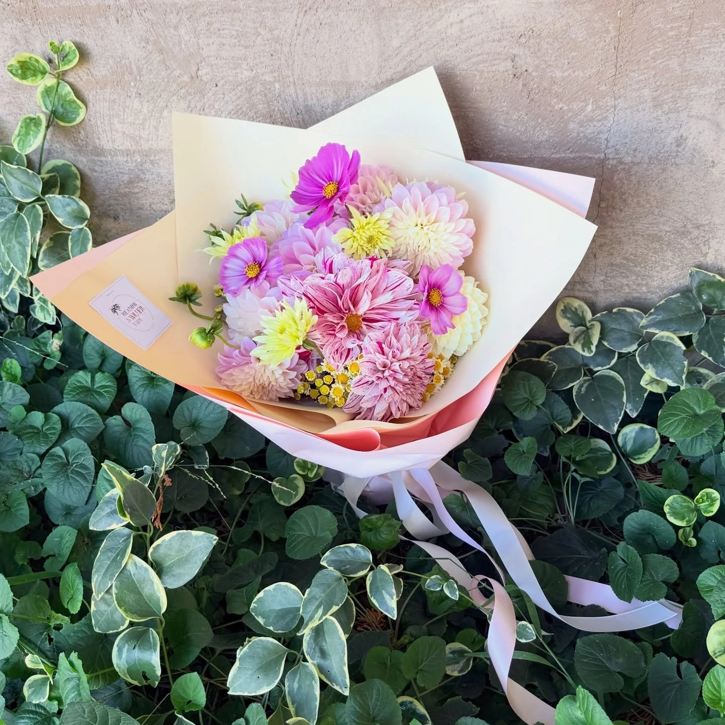 🌾 Harvest Festival weekend is here in Bungendore 🌾 

This Saturday is a celebration of the region&rsquo;s finest - with producers, makers &amp; growers coming together for a beautiful market day filled with thoughtful, locally made wares, organical