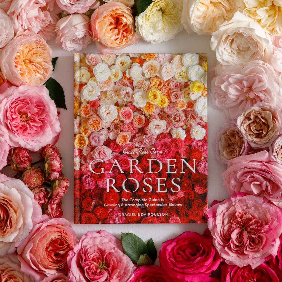 Grace Rose Farm - Garden Roses: The Complete Guide to Growing