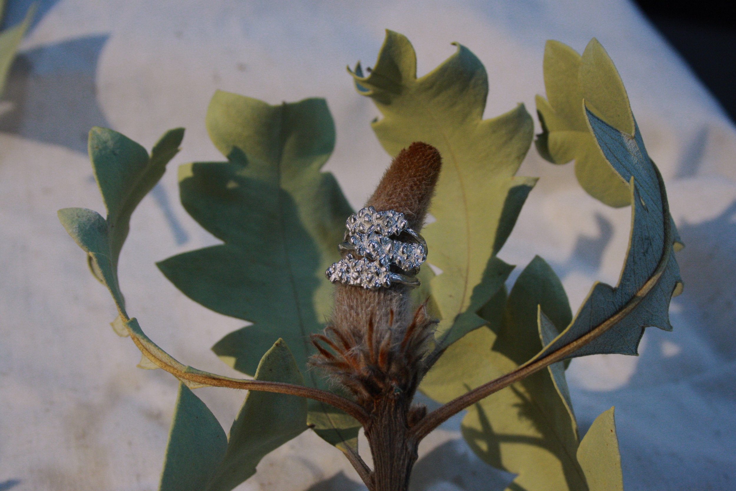 bump ring trio 2.JPG