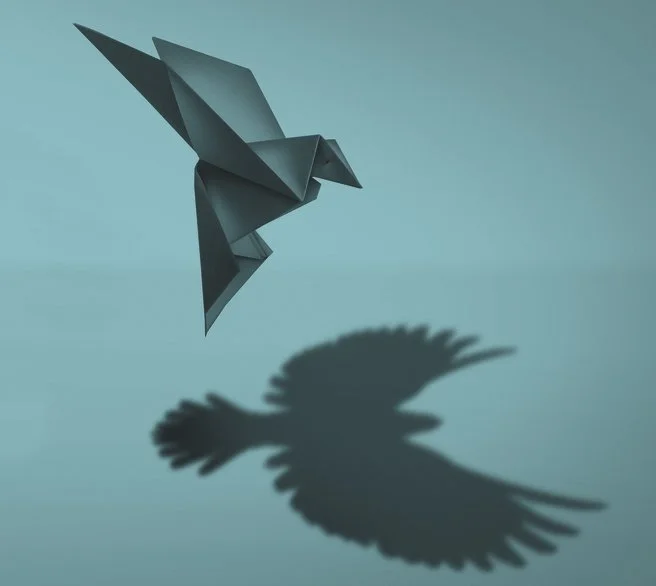 Does the charity sector really have true partnerships with funding organisations?